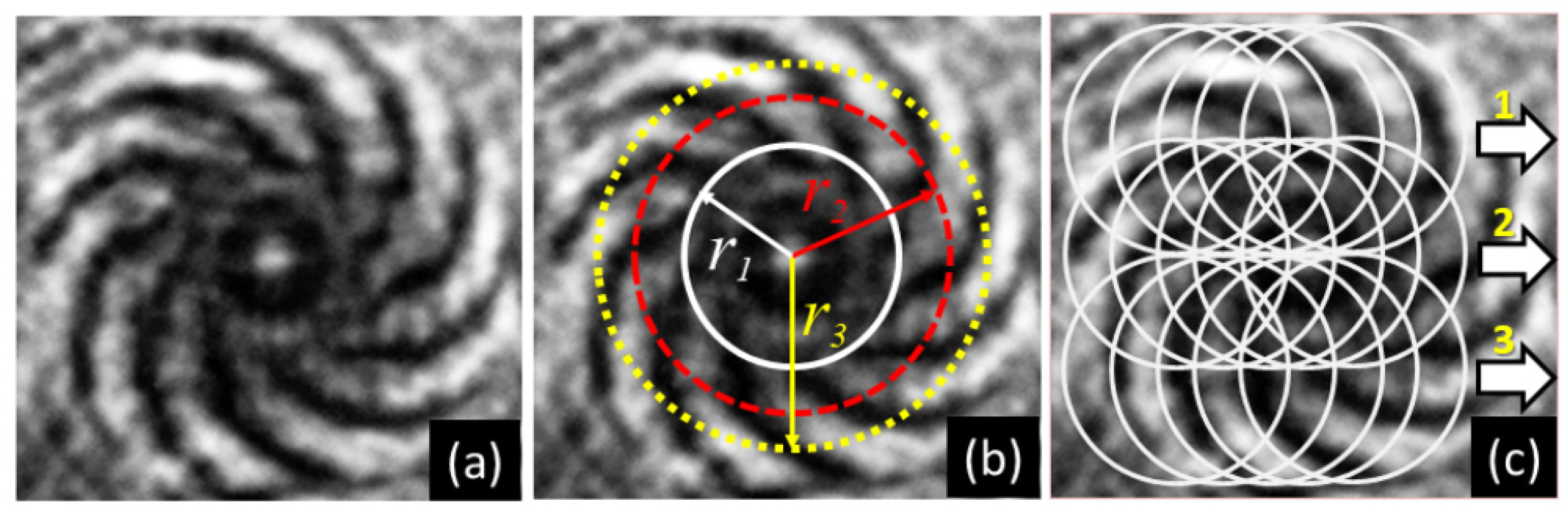 Photonics 11 00296 g001