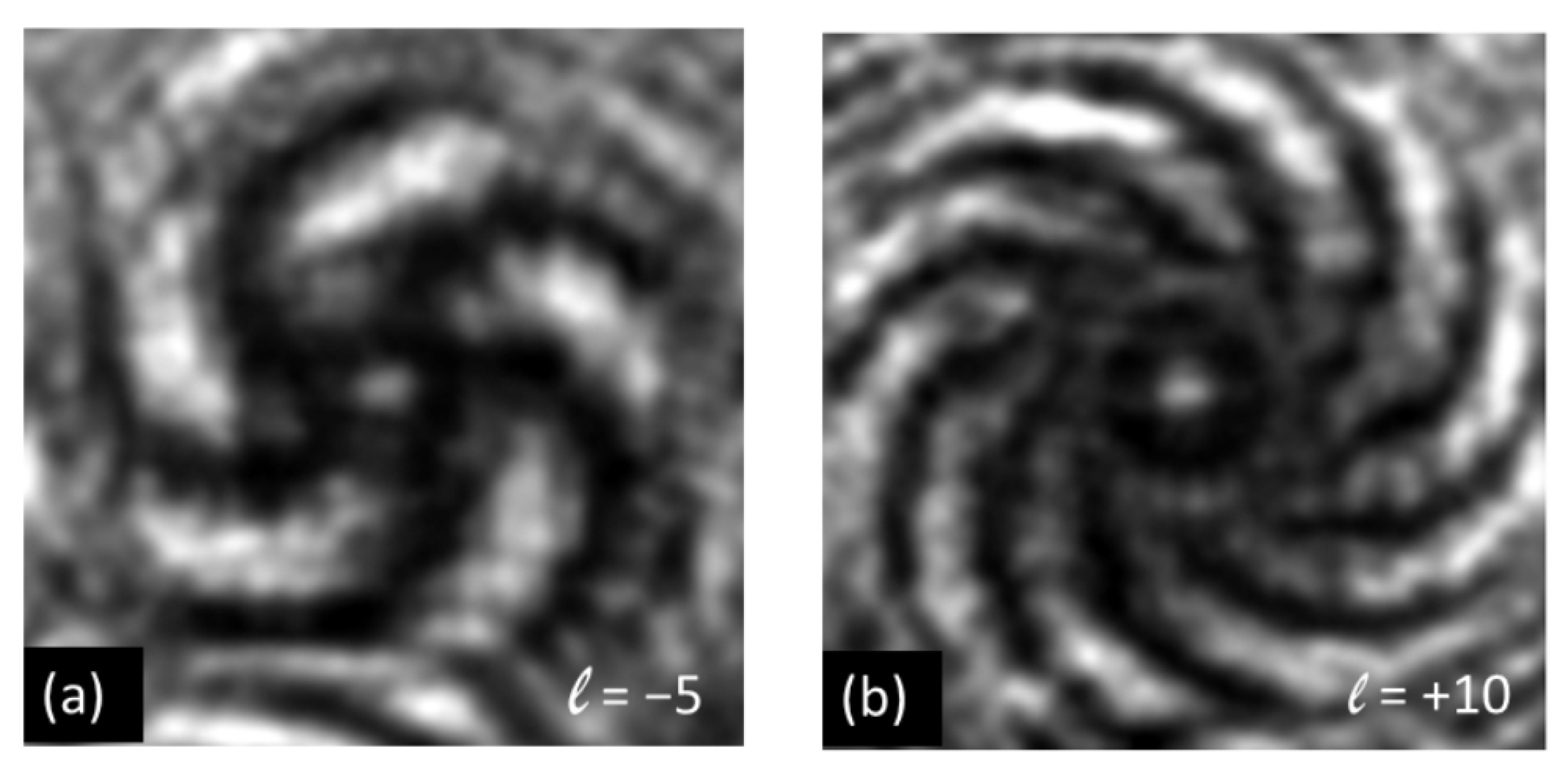 Photonics 11 00296 g003
