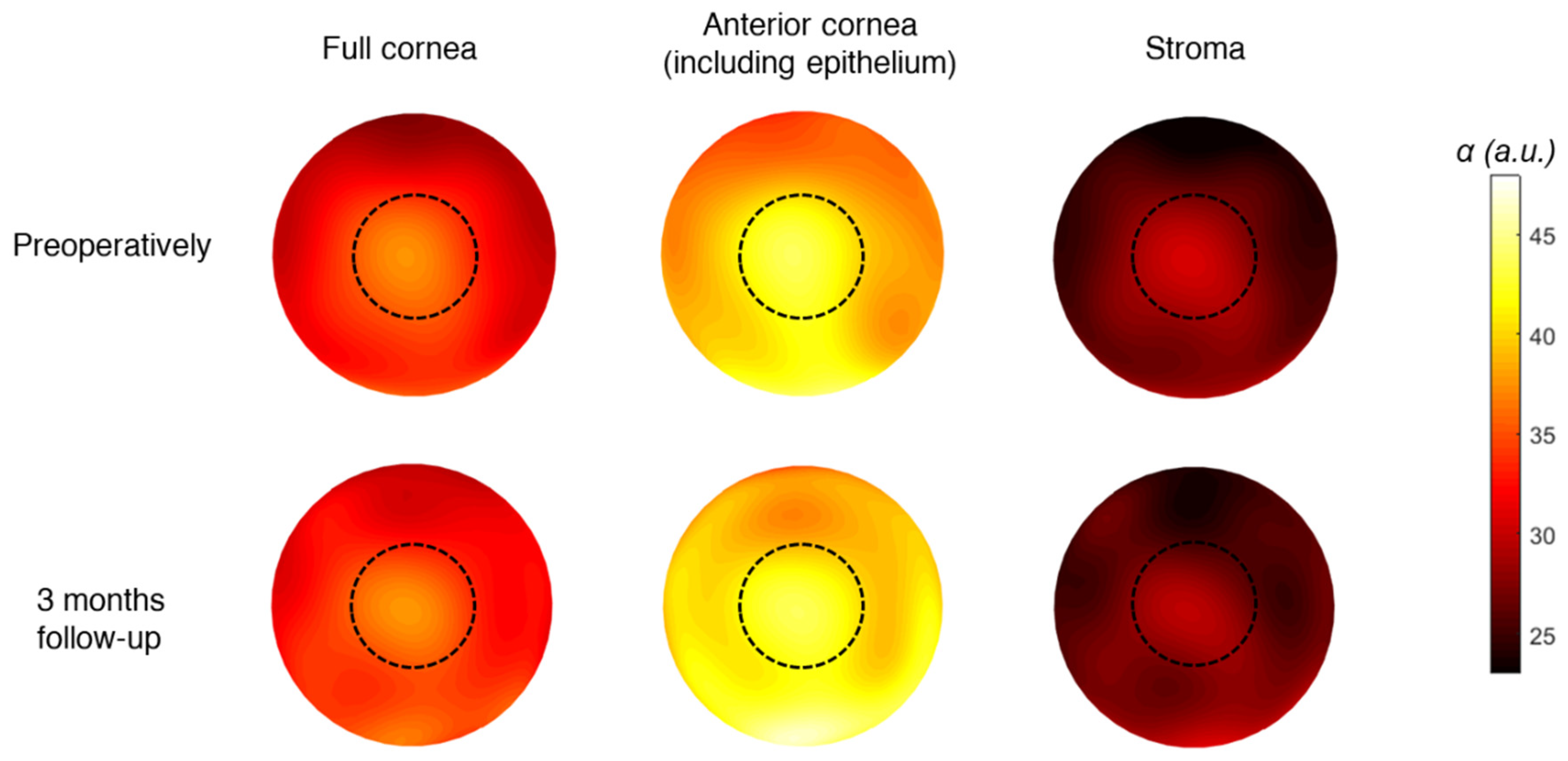 Photonics 11 00315 g001