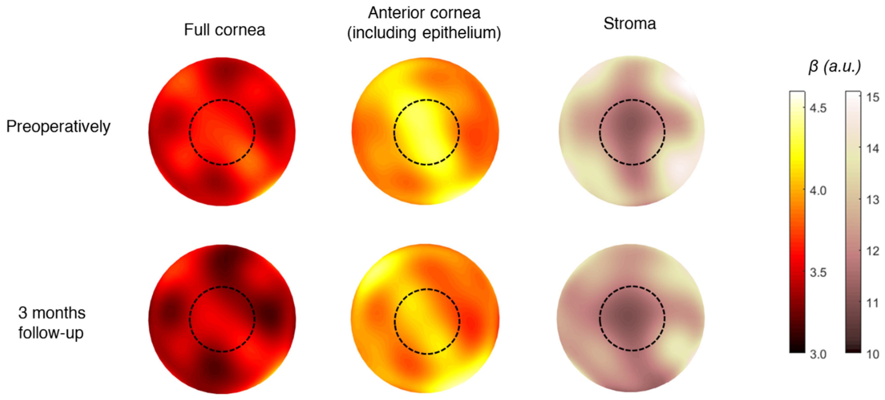 Photonics 11 00315 g002