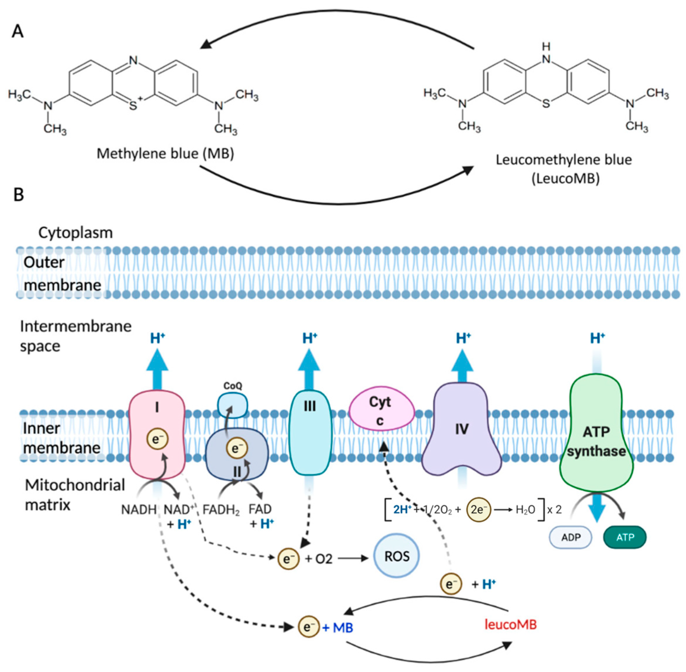 Photonics 11 00316 g001