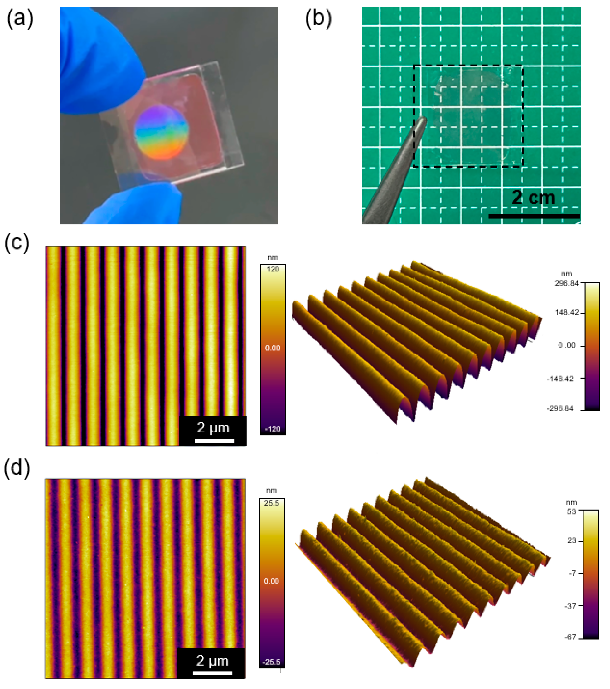 Photonics 11 00320 g005