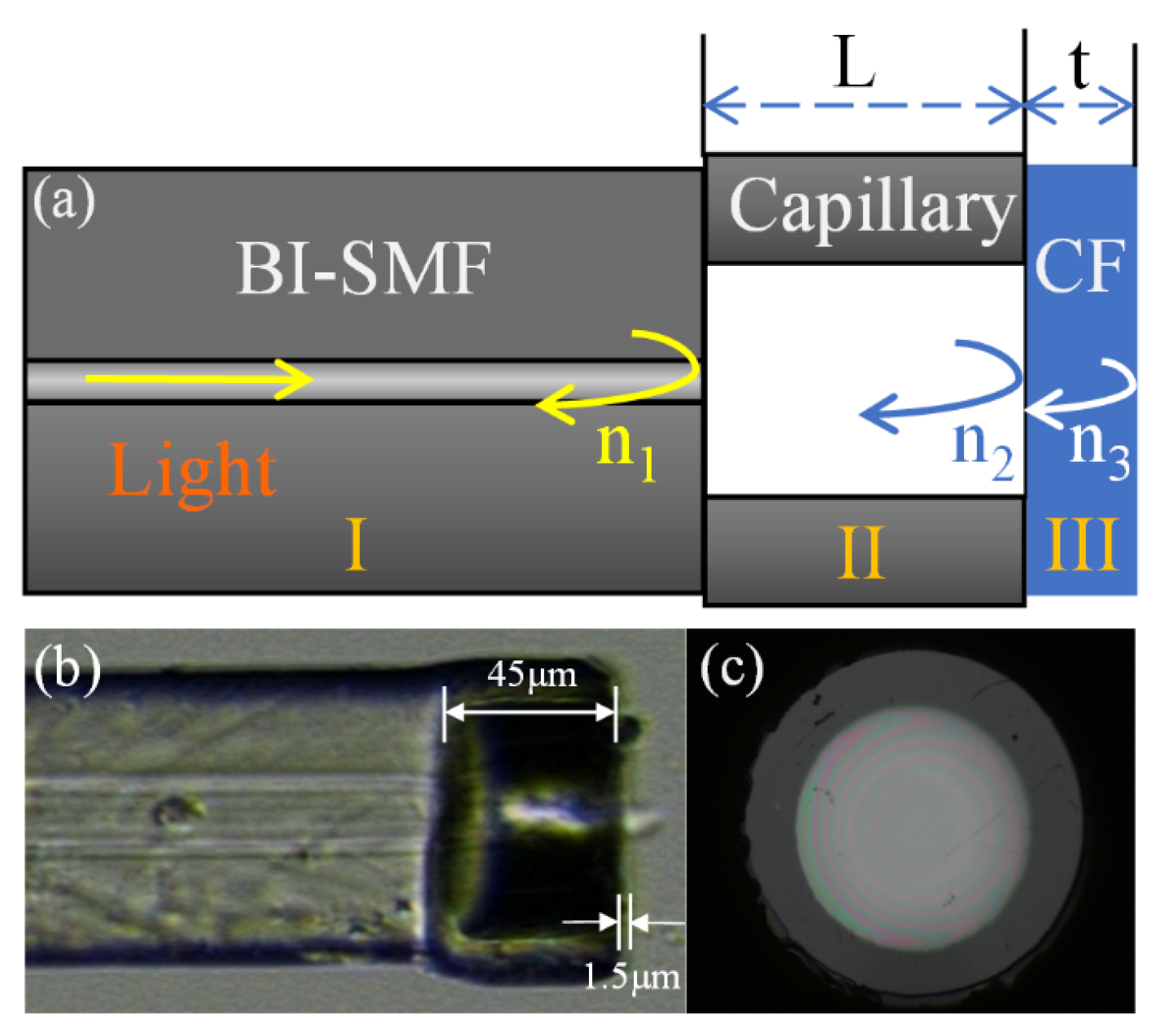 Photonics 11 00354 g001