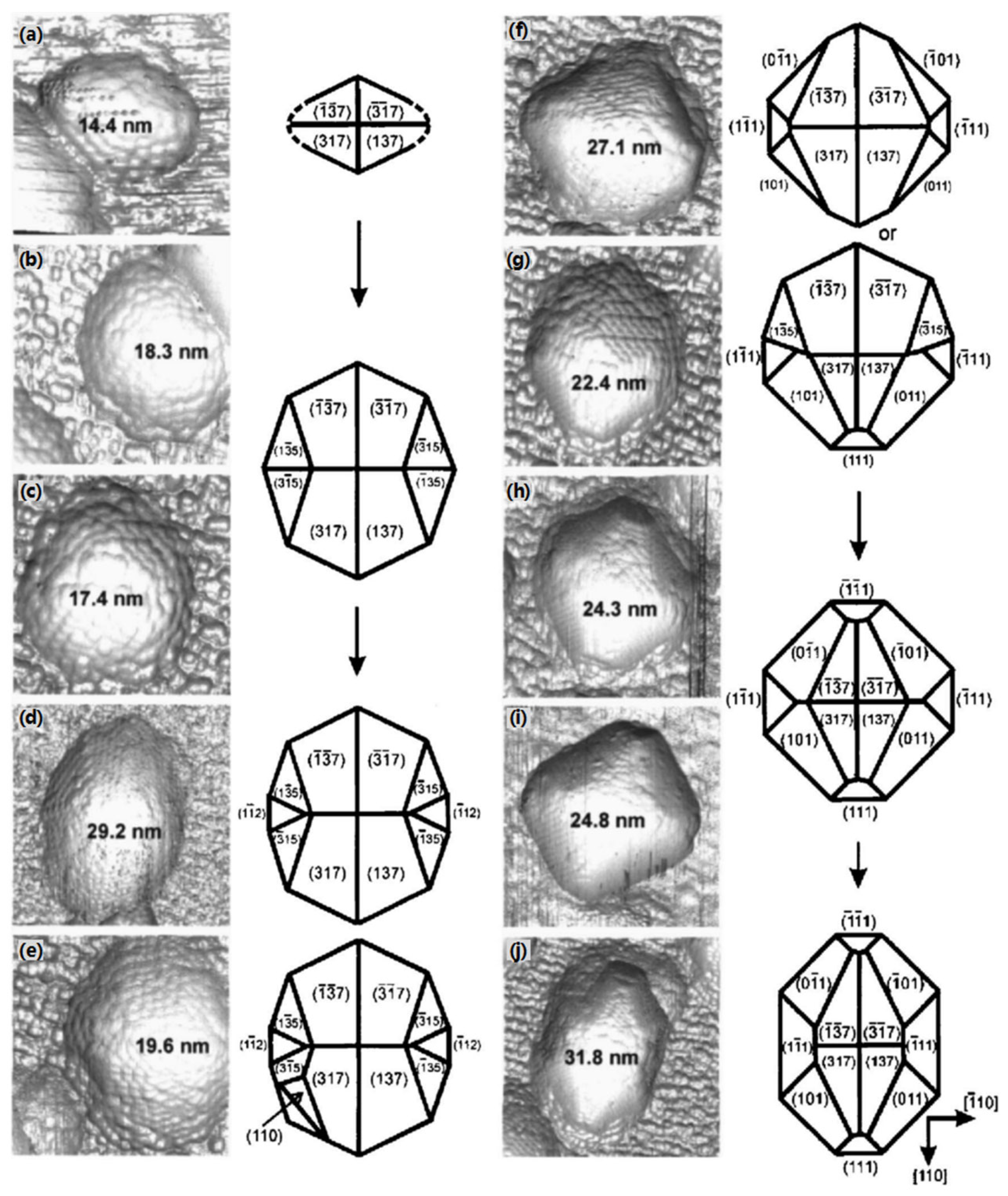 Photonics 11 00370 g003