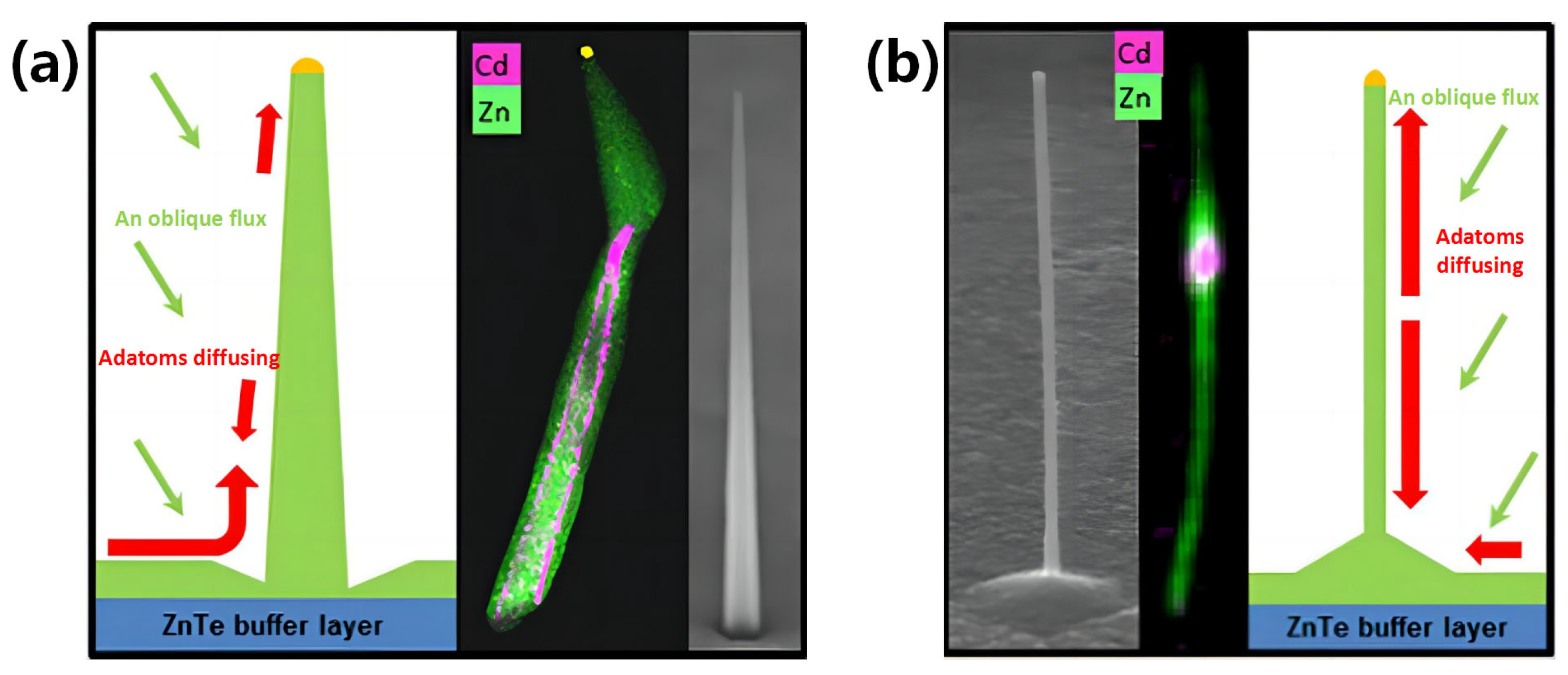 Photonics 11 00370 g007
