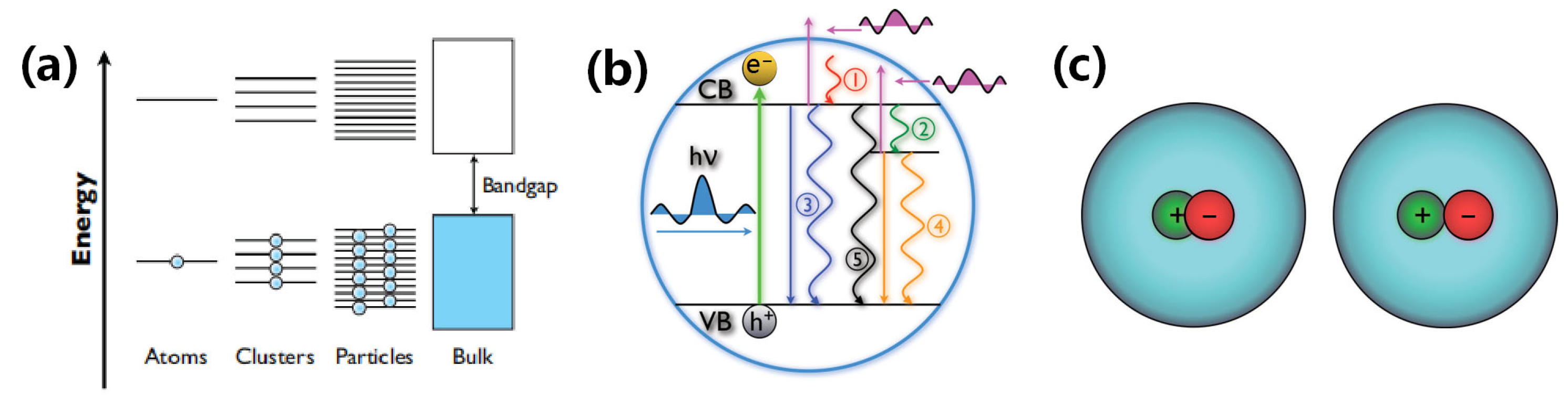 Photonics 11 00370 g016