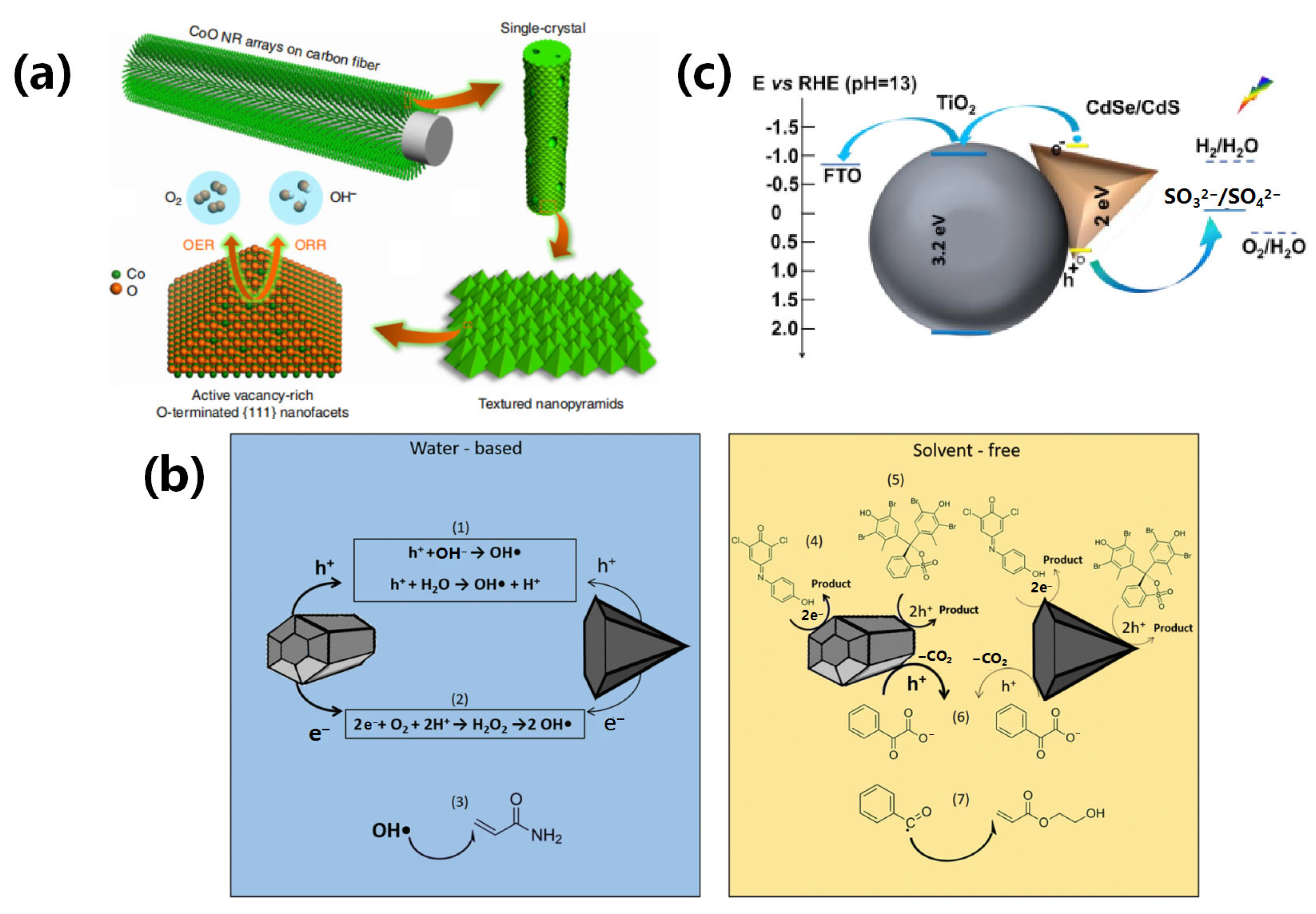 Photonics 11 00370 g019