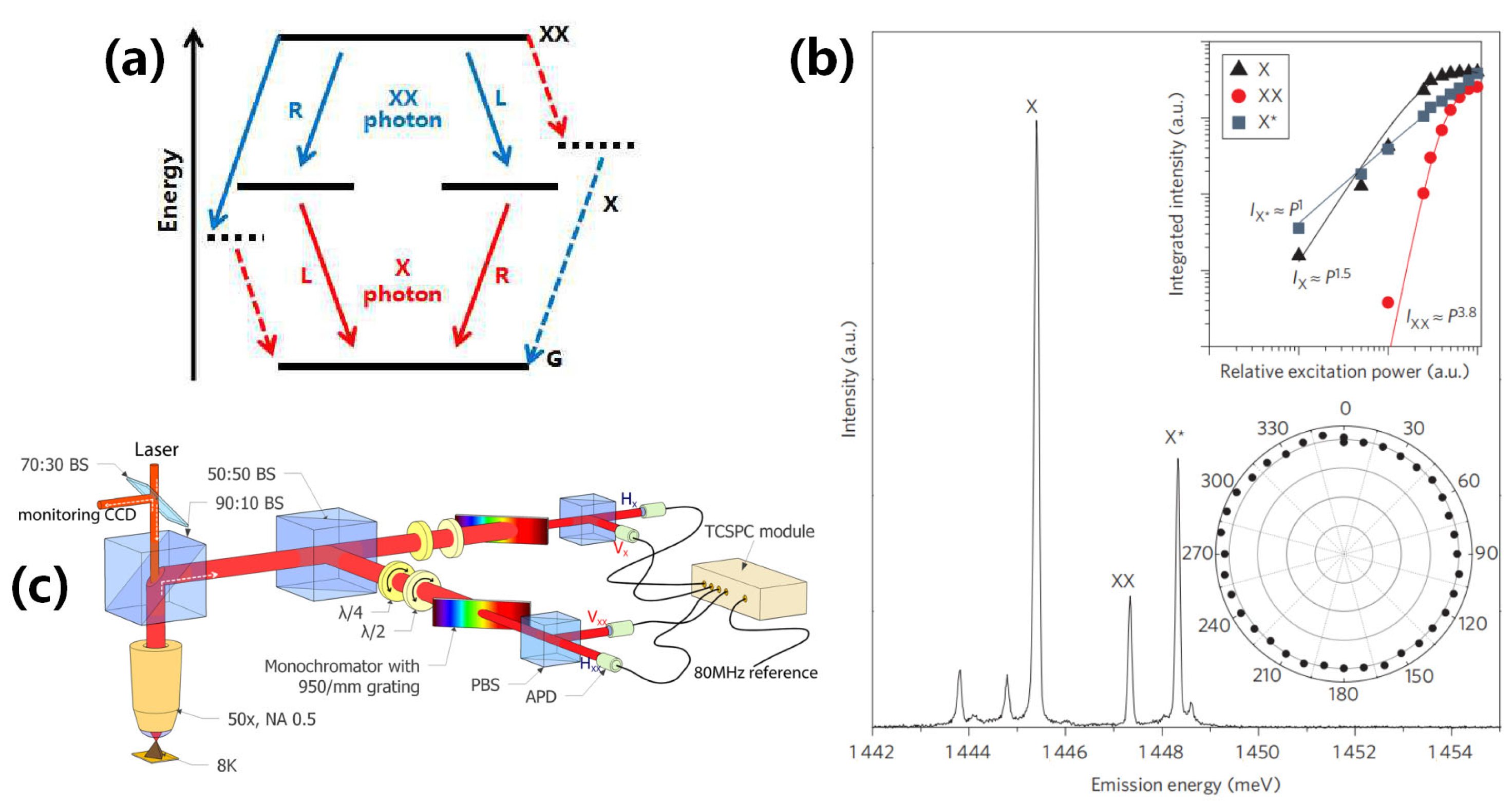 Photonics 11 00370 g031
