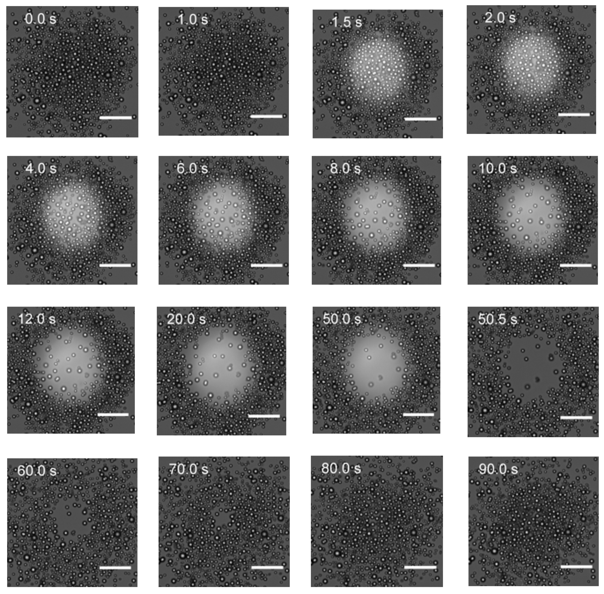 Photonics 11 00421 g002
