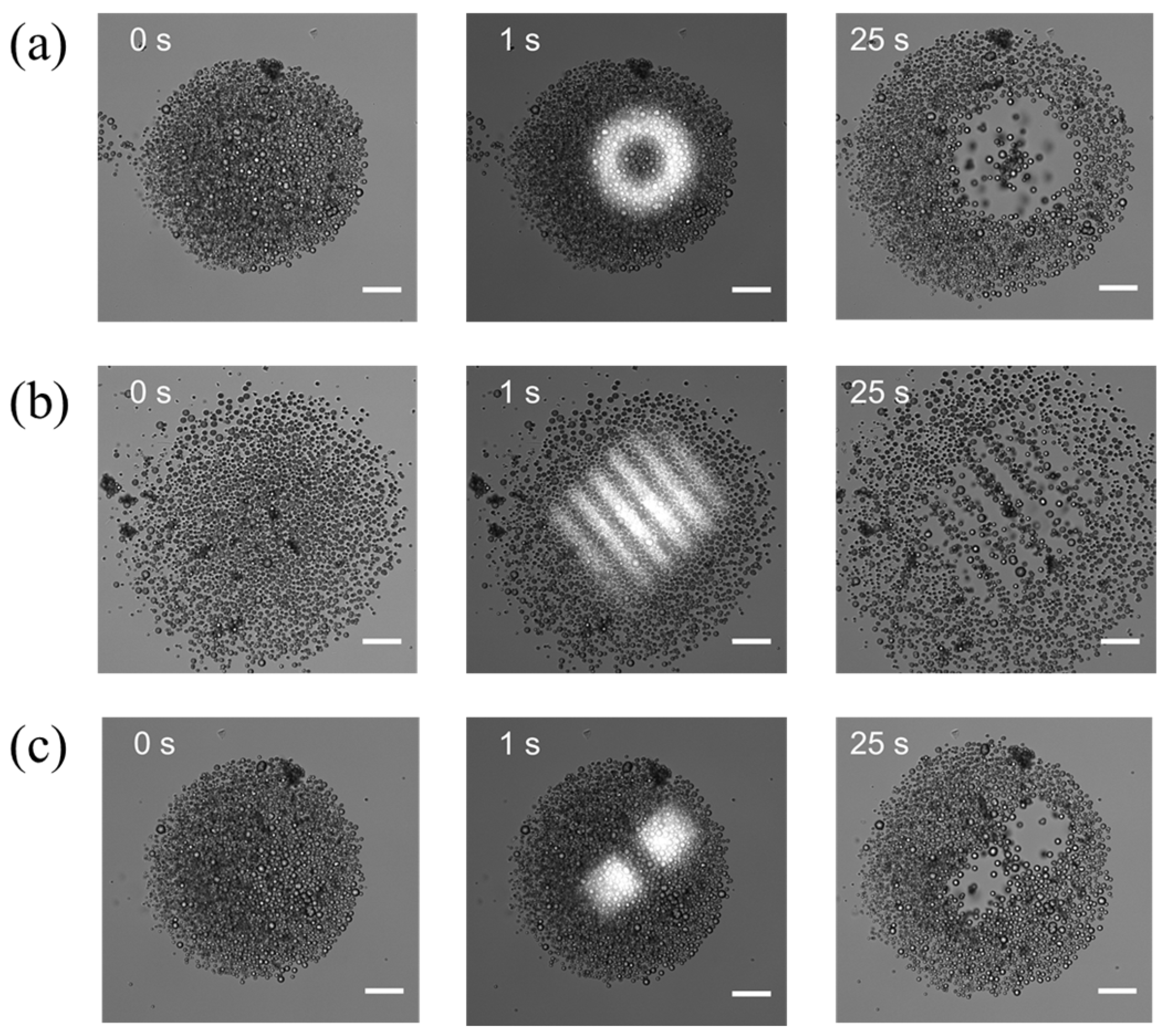 Photonics 11 00421 g005