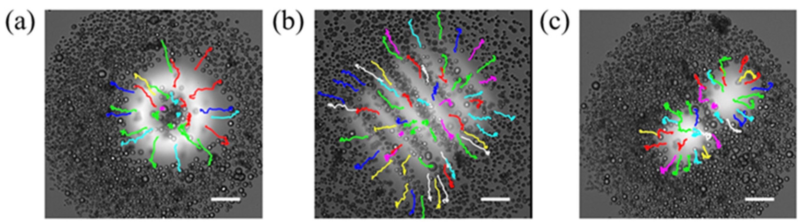 Photonics 11 00421 g006