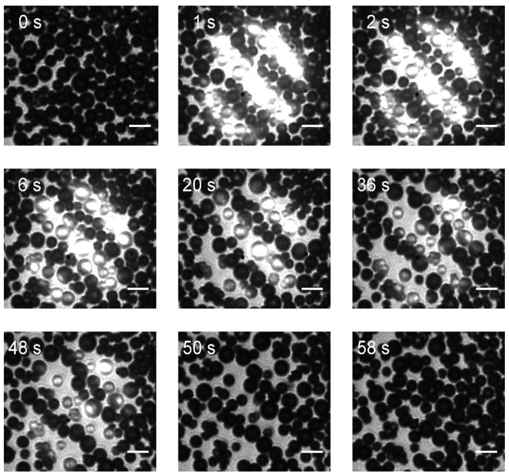 Photonics 11 00421 g008