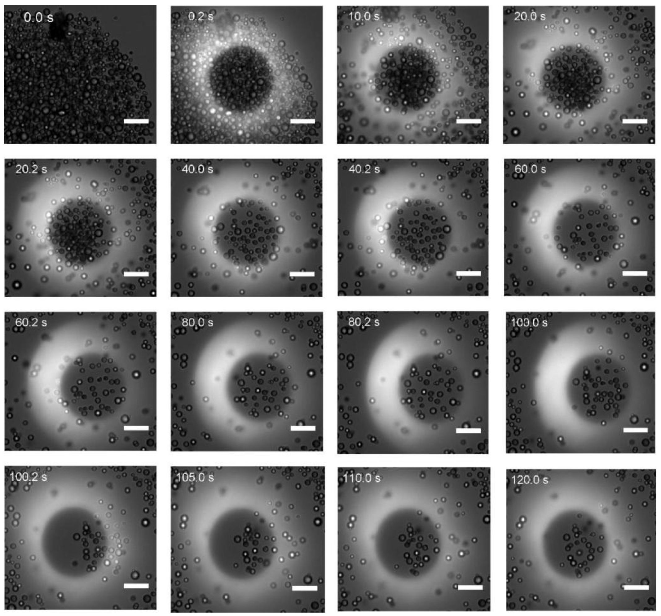 Photonics 11 00421 g009