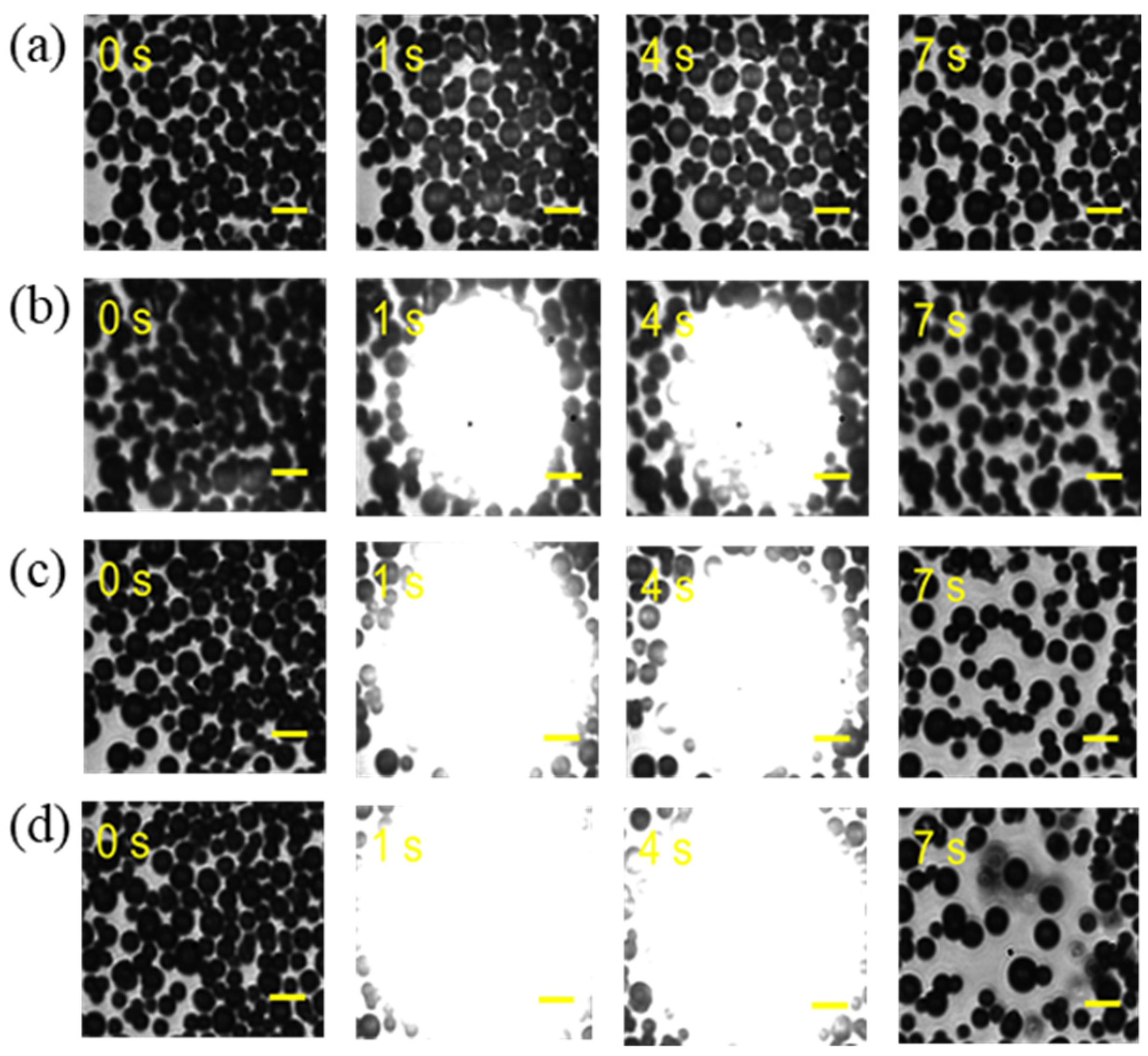 Photonics 11 00421 g0a3