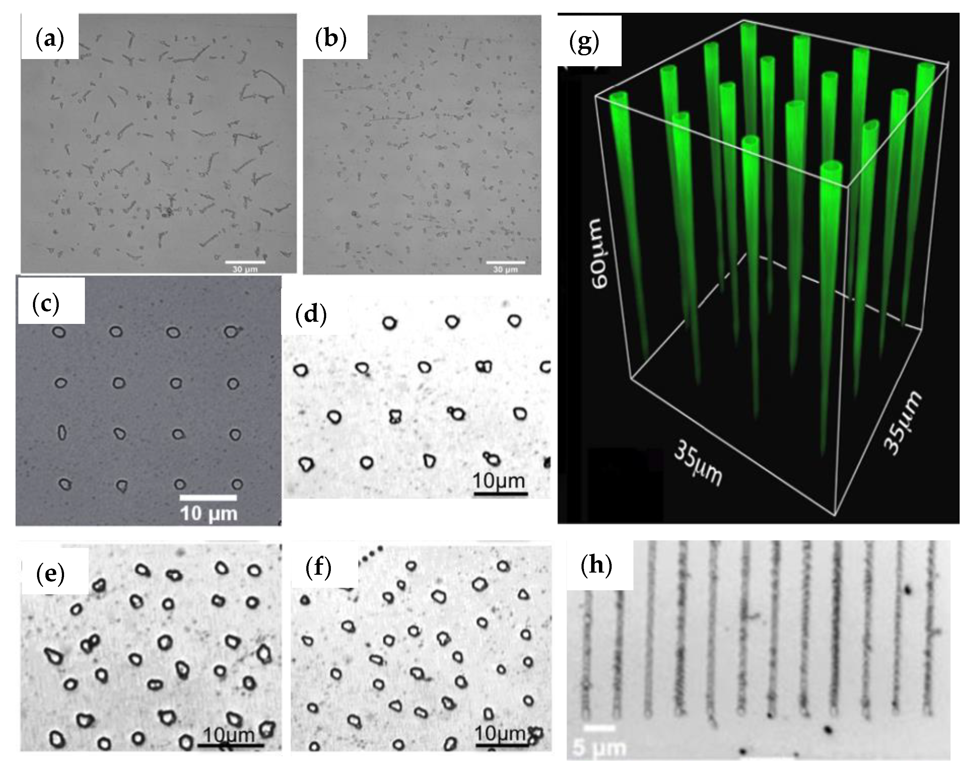 Photonics 11 00447 g003 Photonics 11 00447 g003