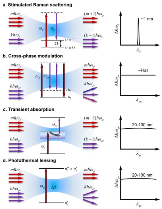 Photonics 11 00489 g001