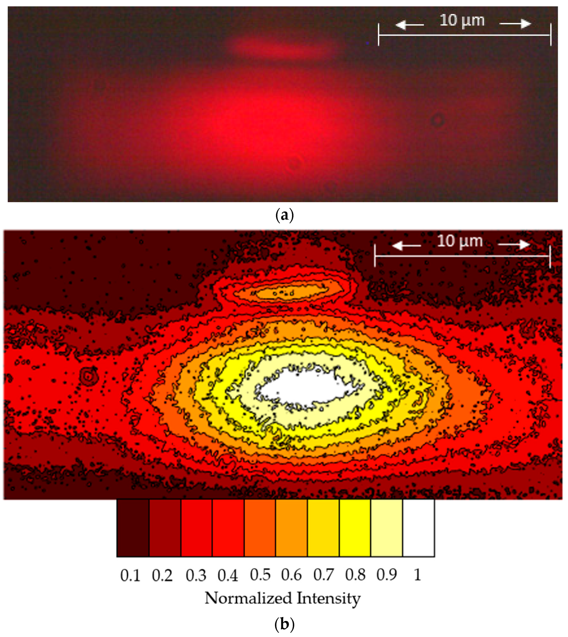 Photonics 11 00502 g005
