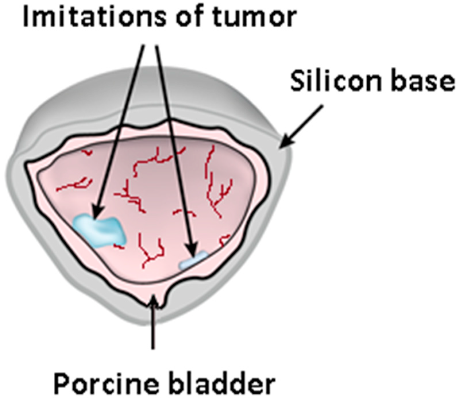 Photonics 11 00514 g001