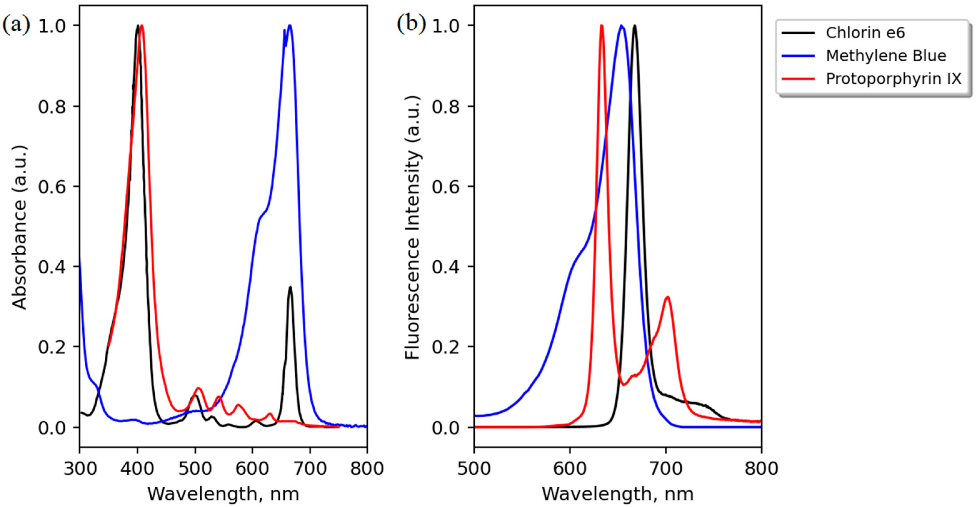 Photonics 11 00514 g003