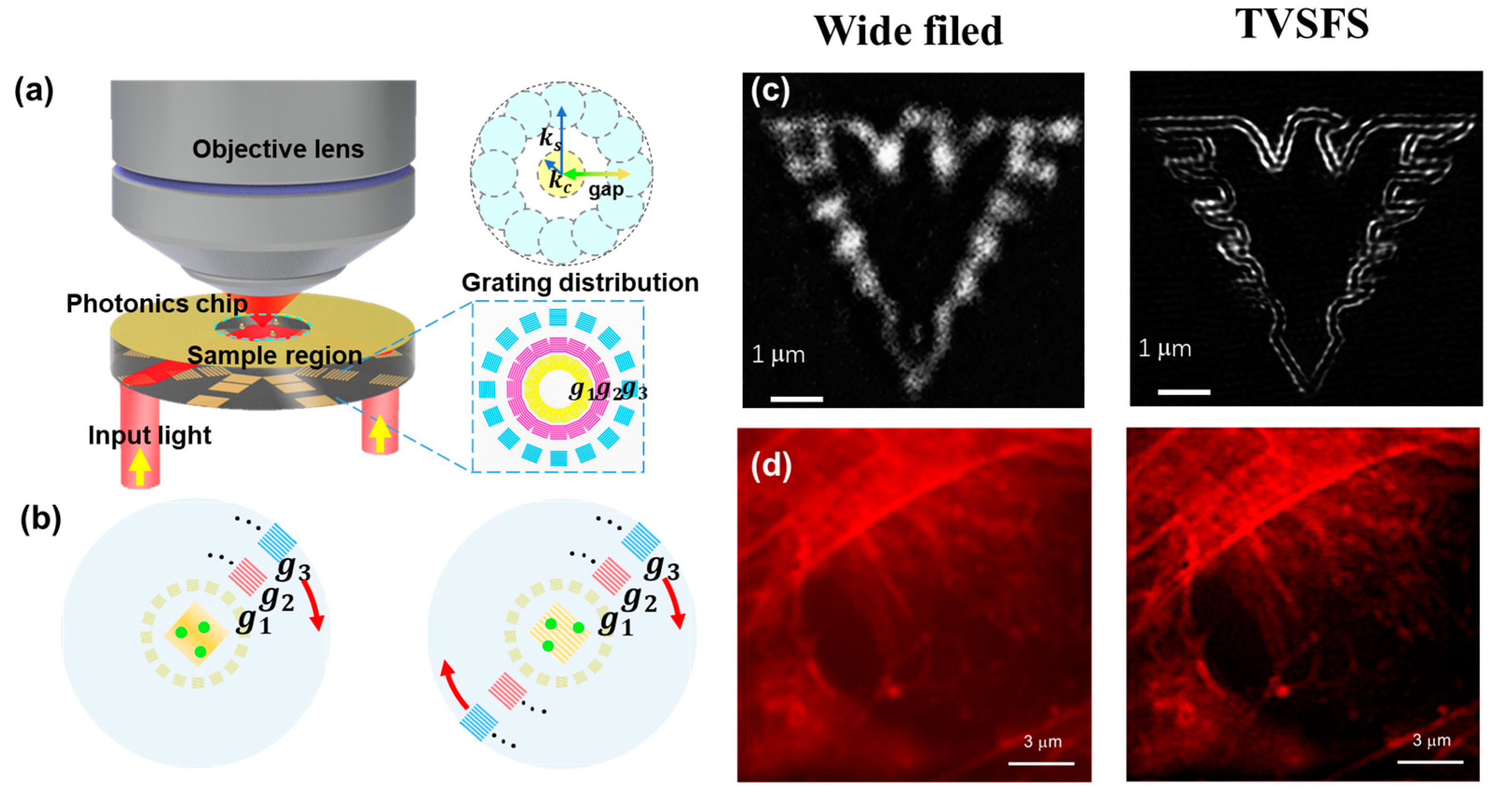 Photonics 11 00528 g005