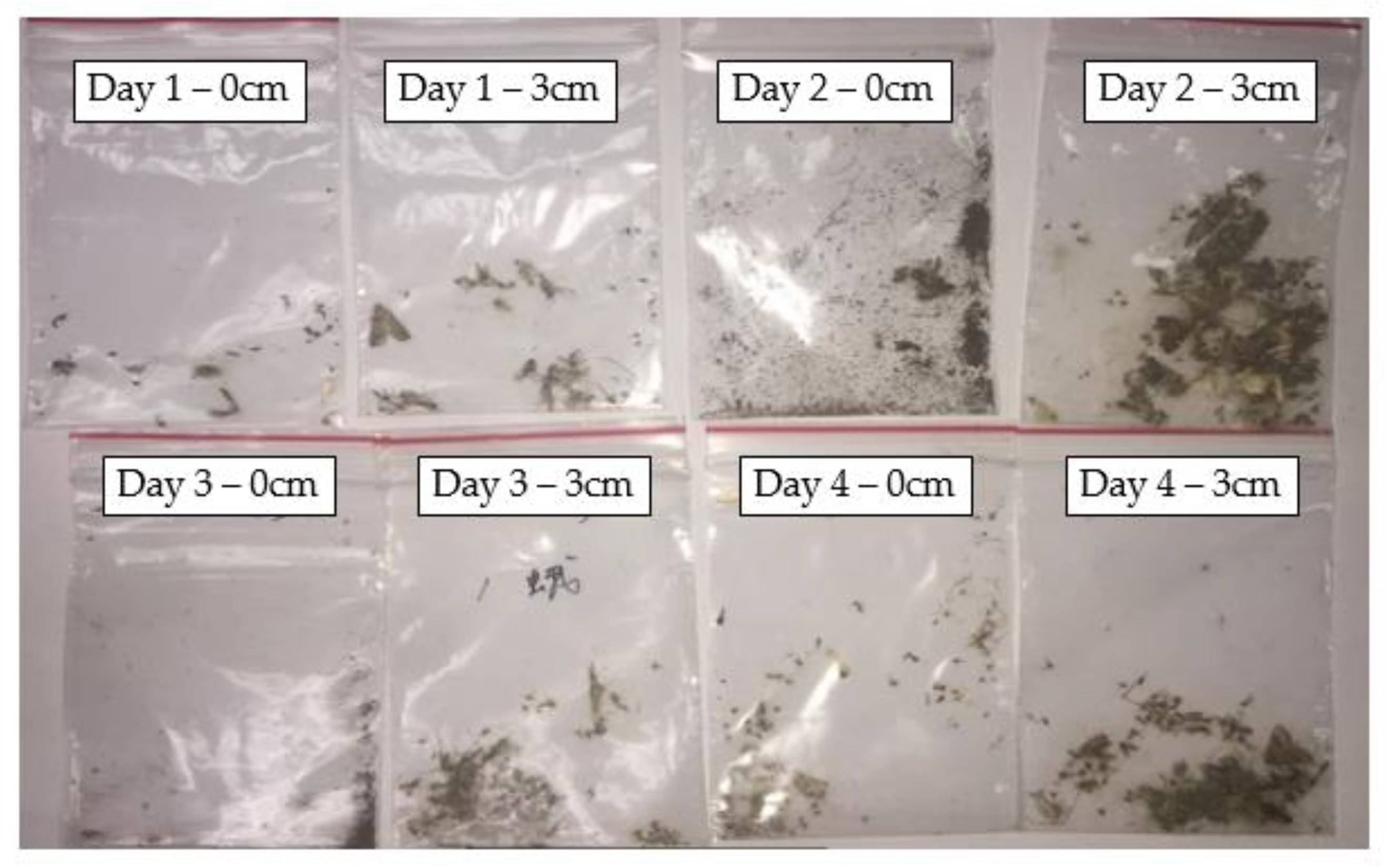 Photonics 11 00532 g013