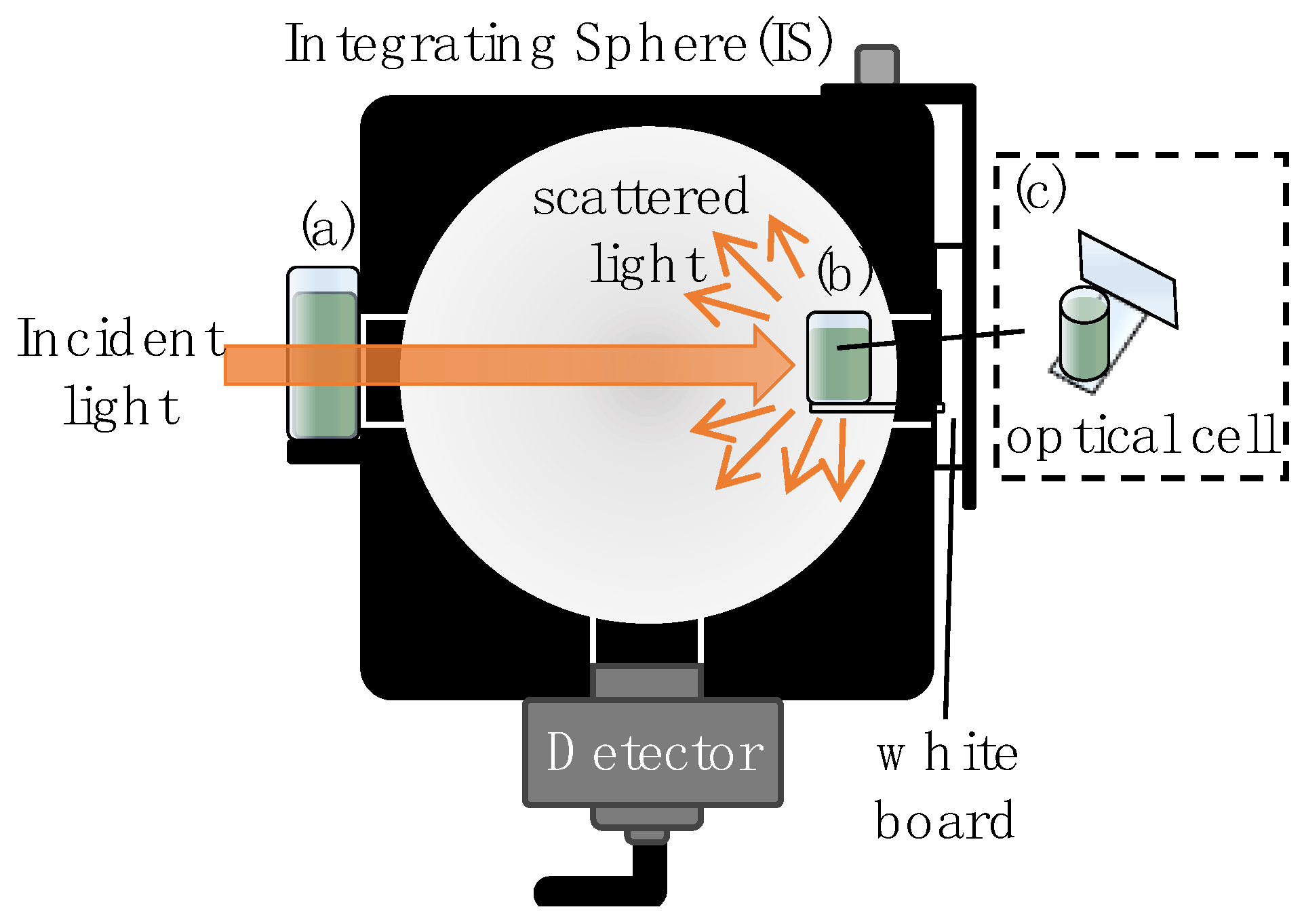 Photonics 11 00556 g001