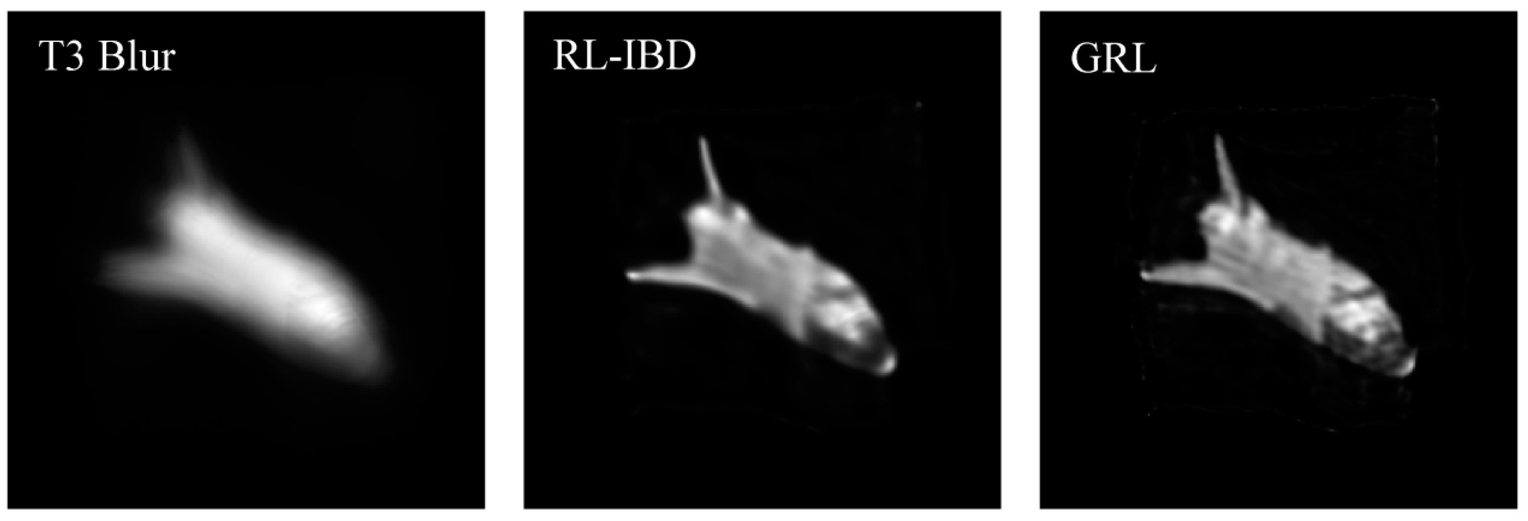 Photonics 11 00576 g007 Photonics 11 00576 g007