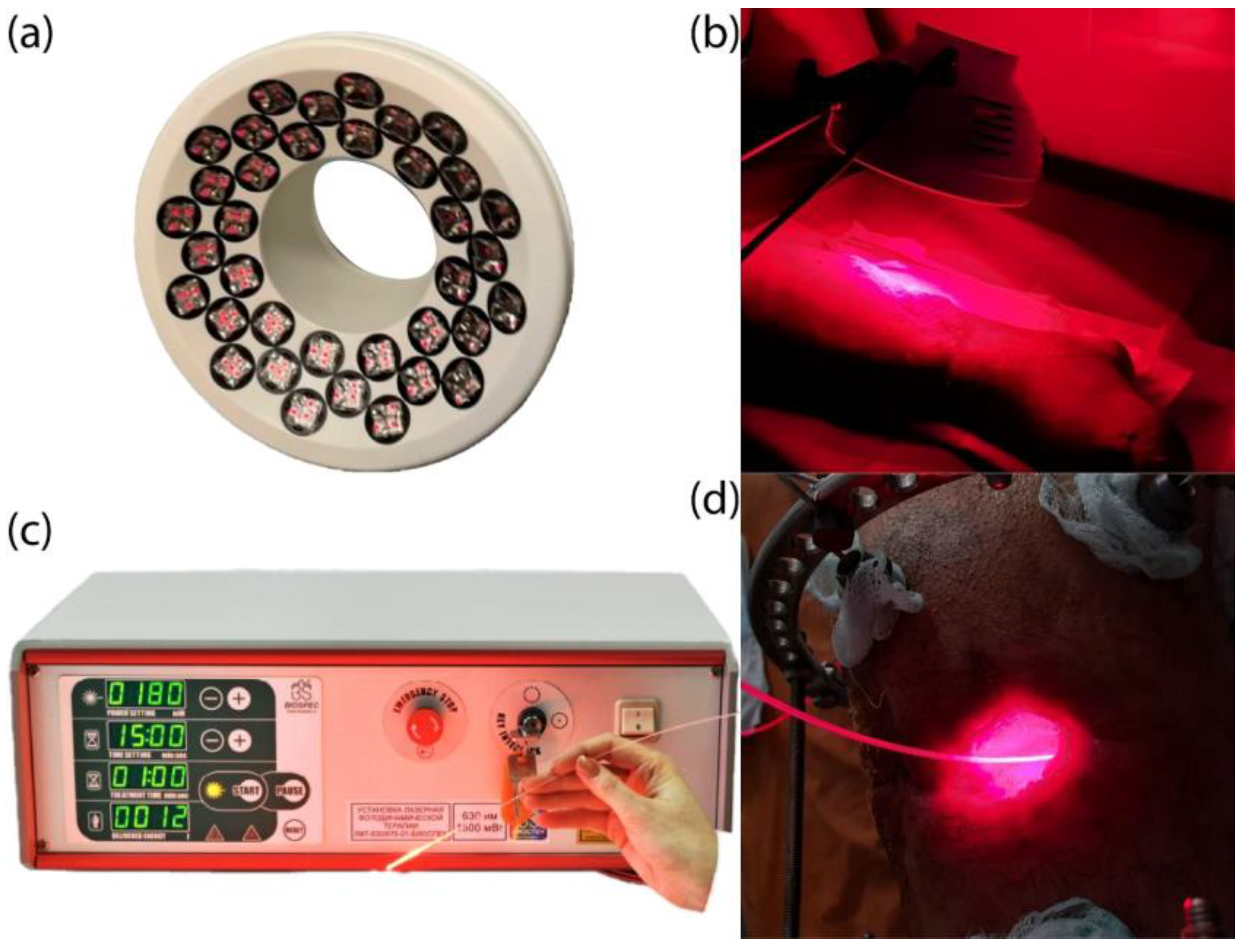 Photonics 11 00594 g003