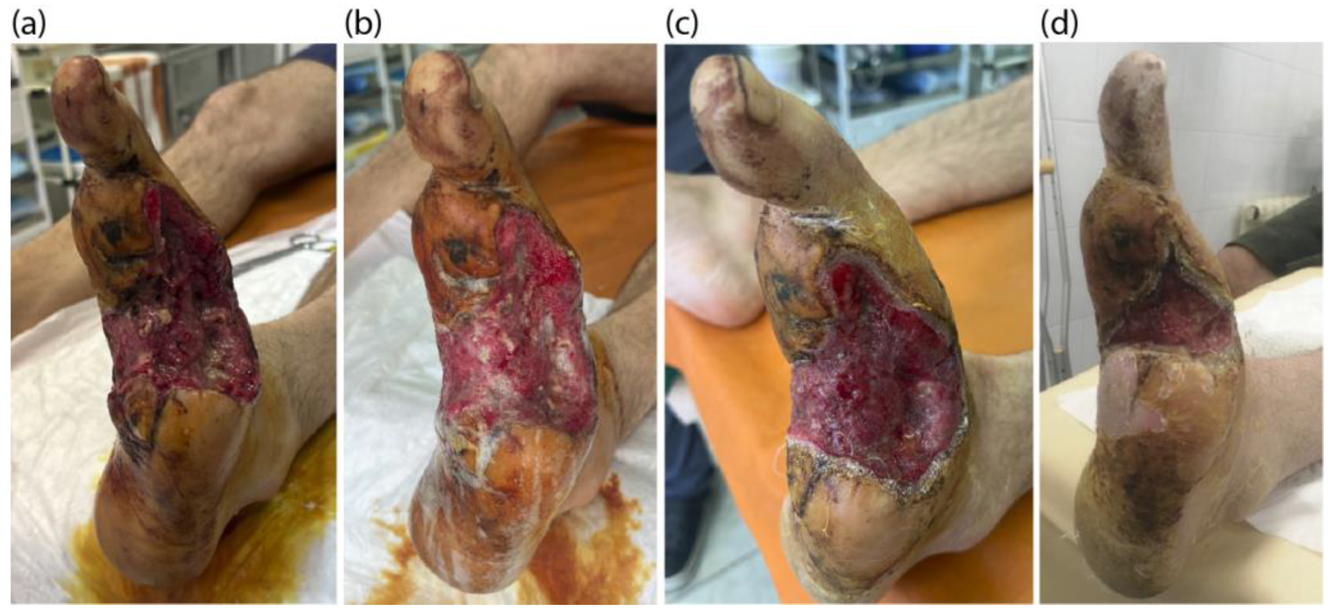 Photonics 11 00594 g007