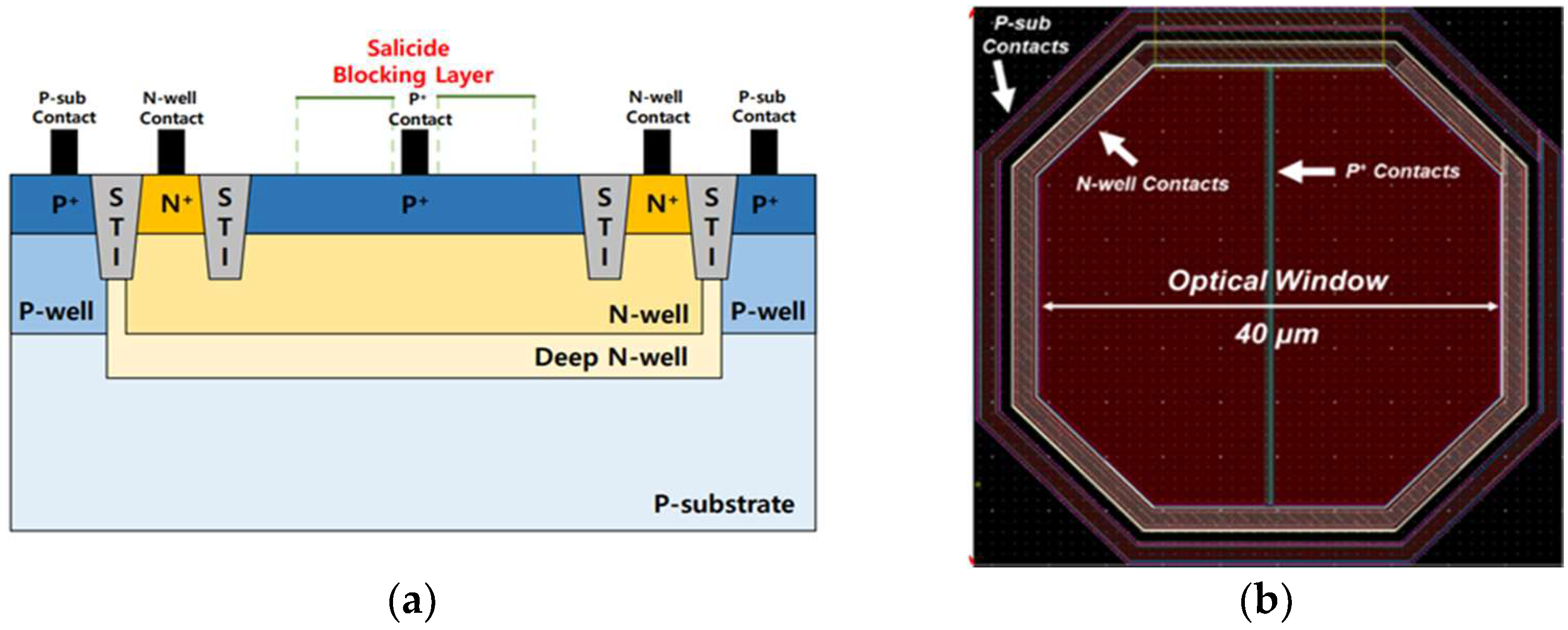 Photonics 11 00617 g004 Photonics 11 00617 g004