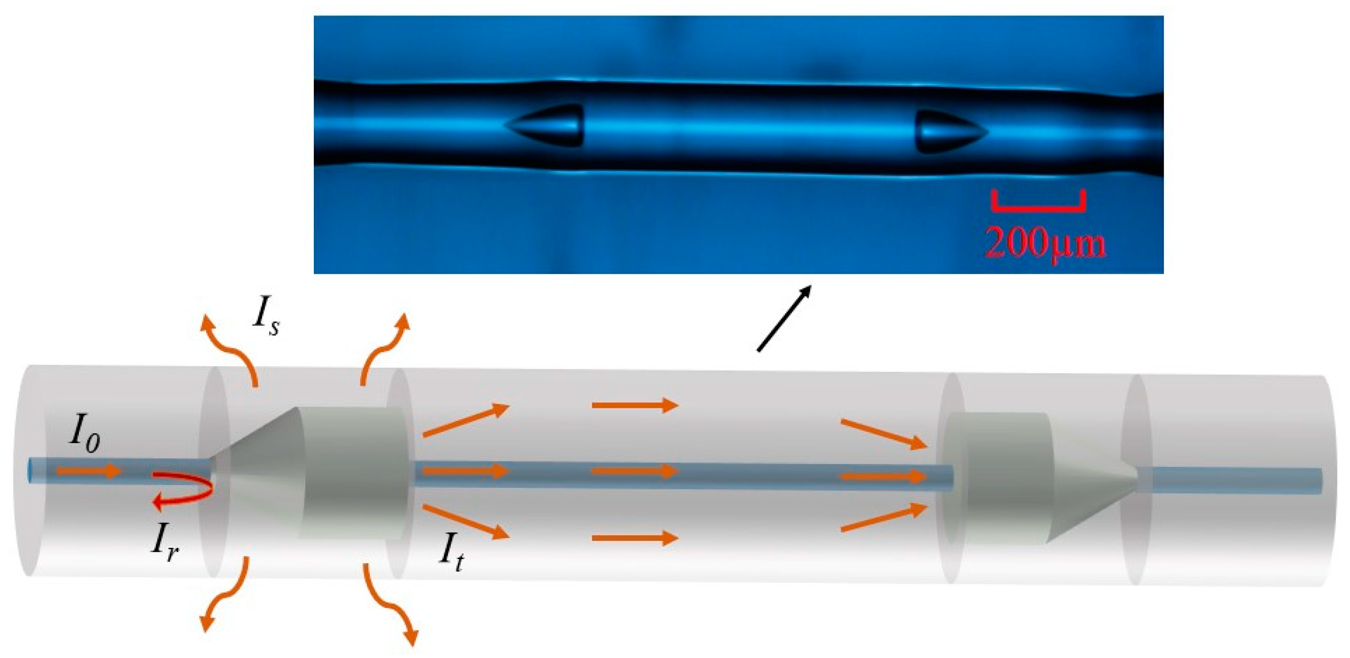 Photonics 11 00631 g001