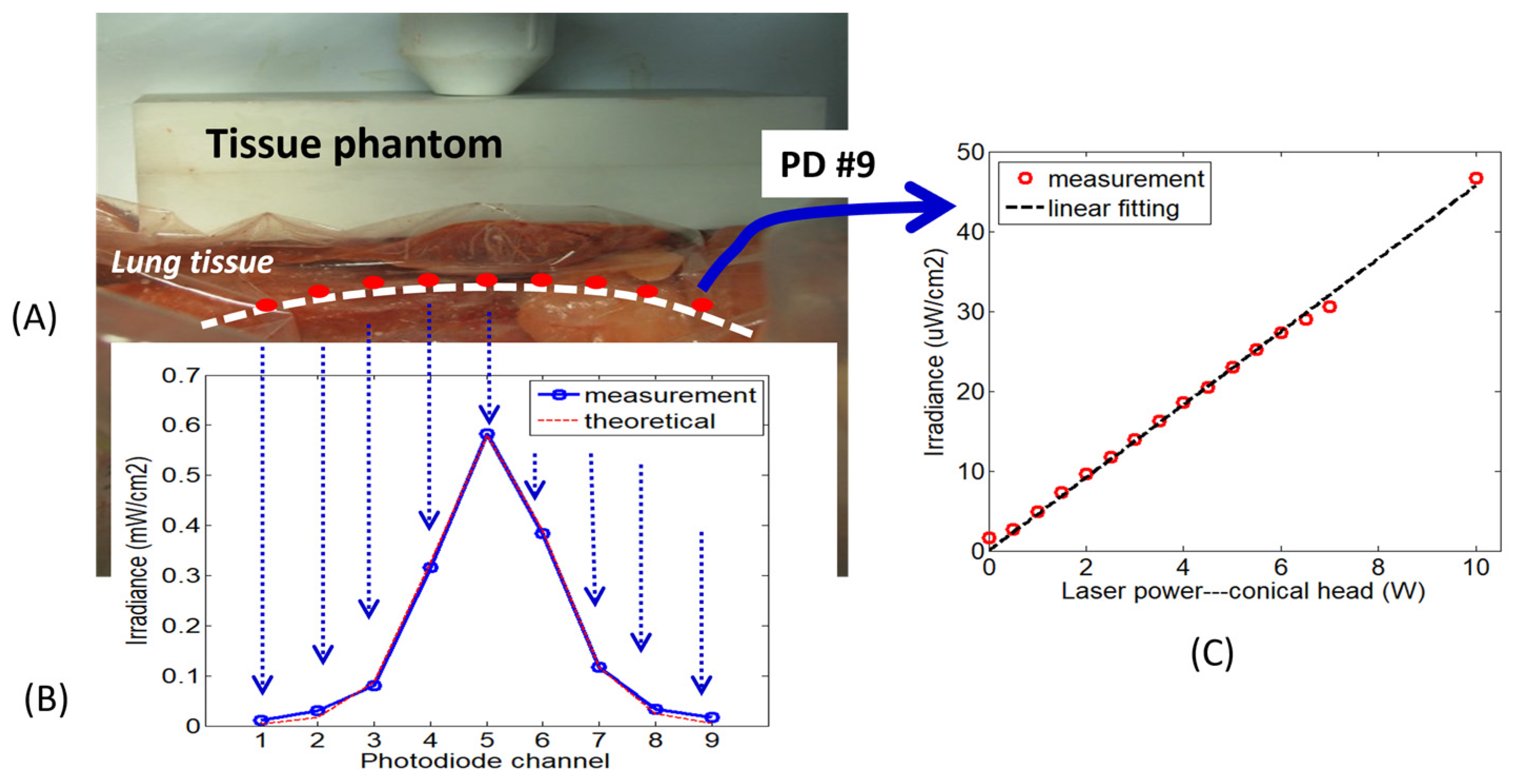 Photonics 11 00632 g002