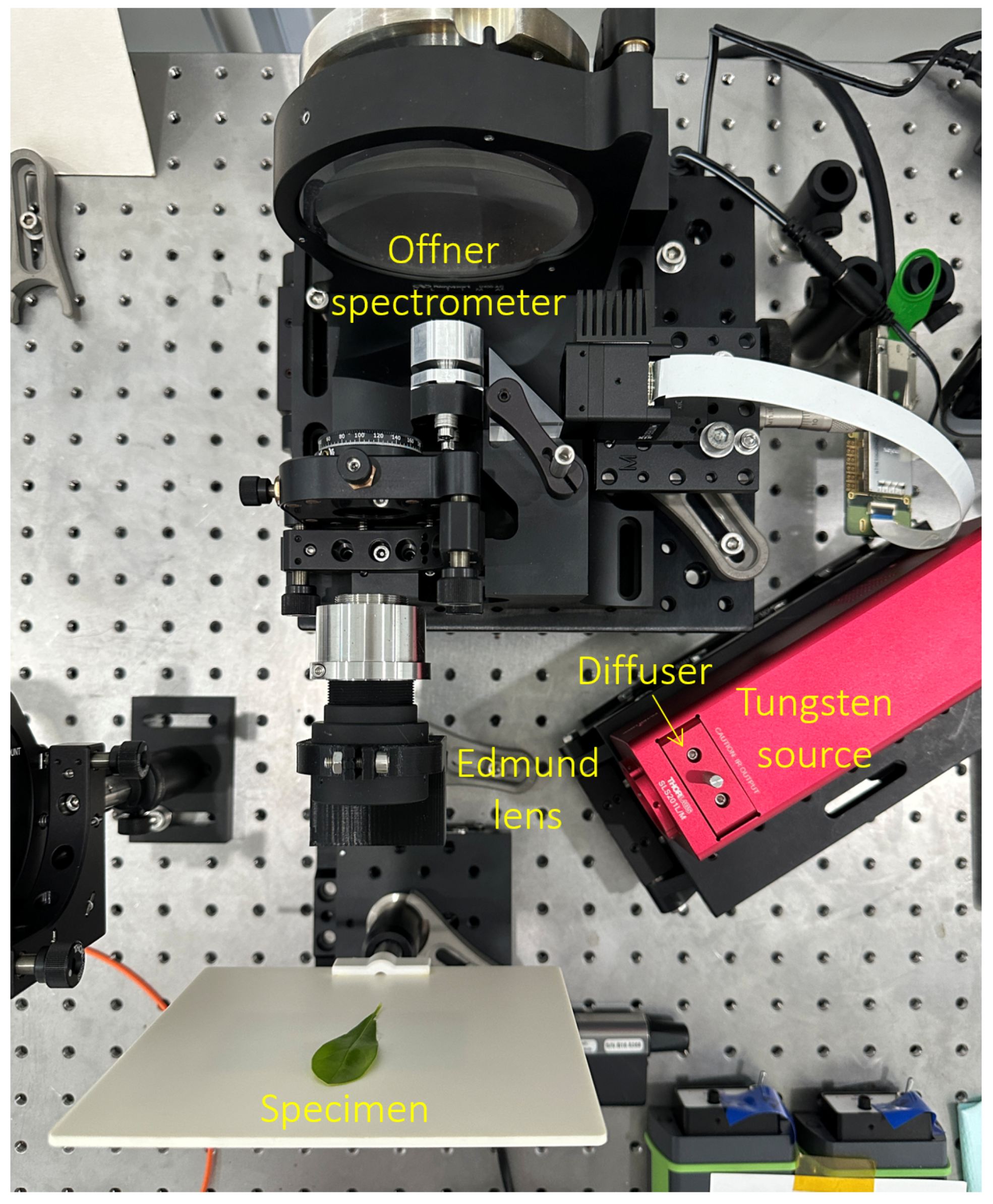 Photonics 11 00644 g014