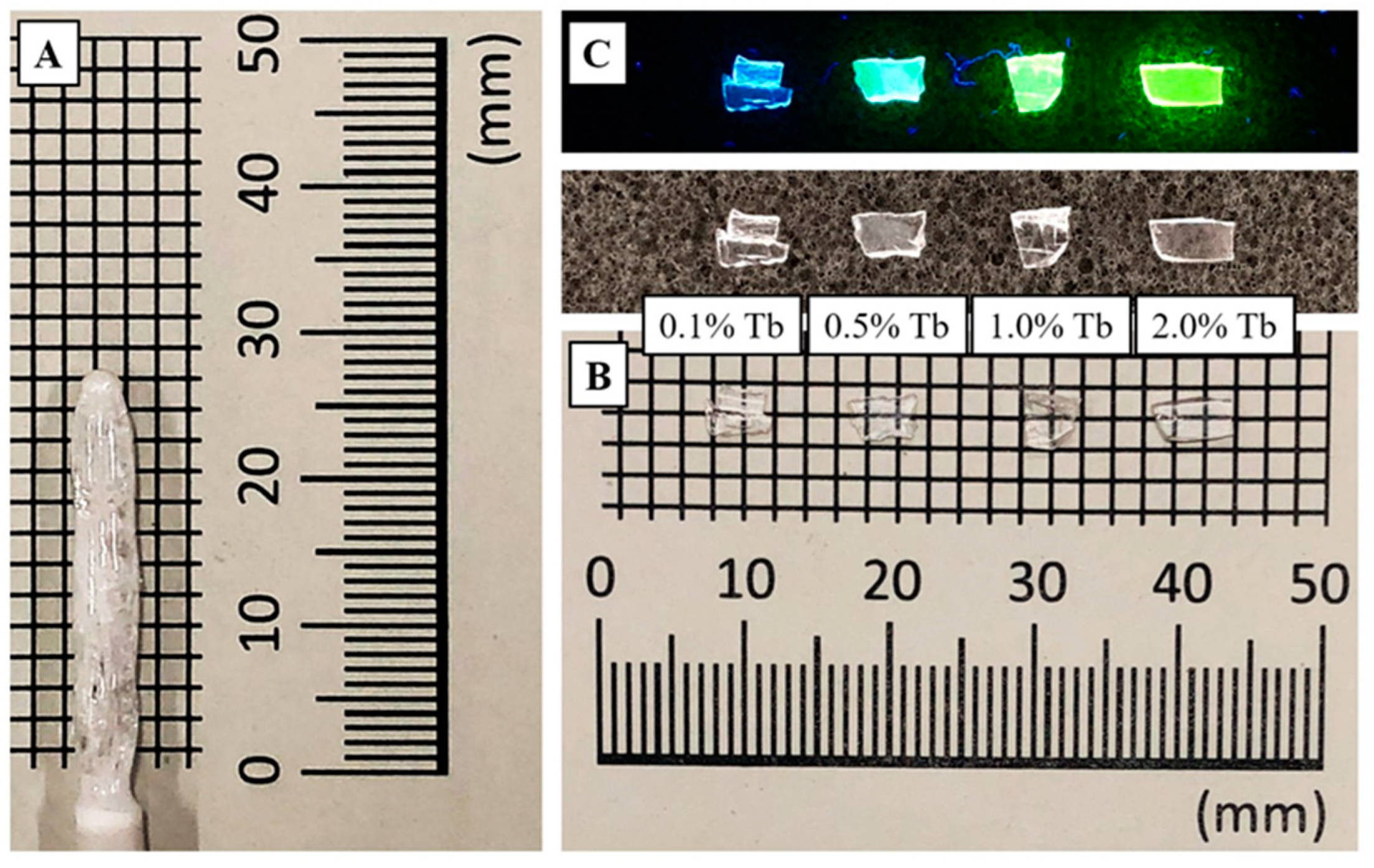 Photonics 11 00673 g001