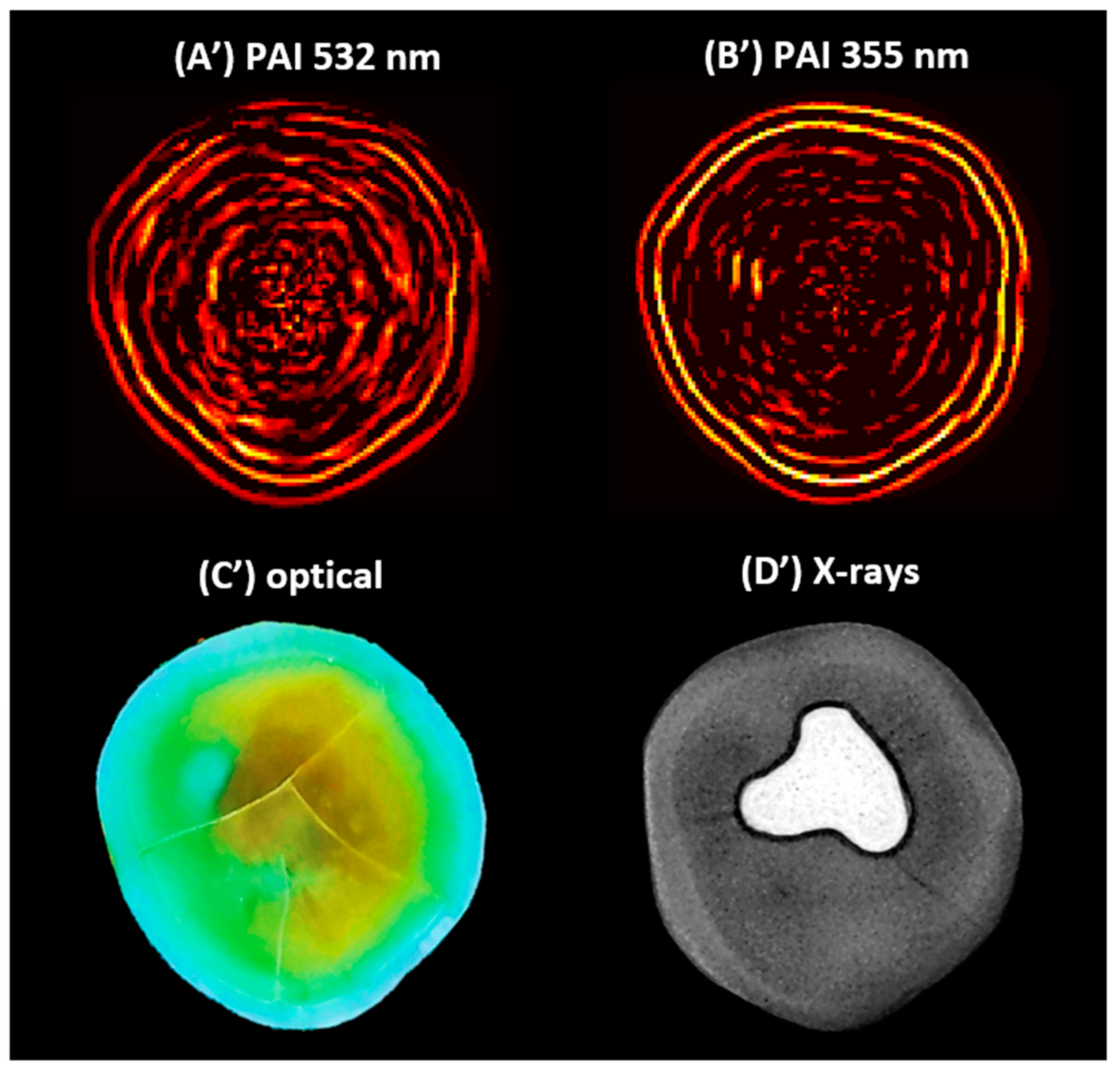 Photonics 11 00678 g004