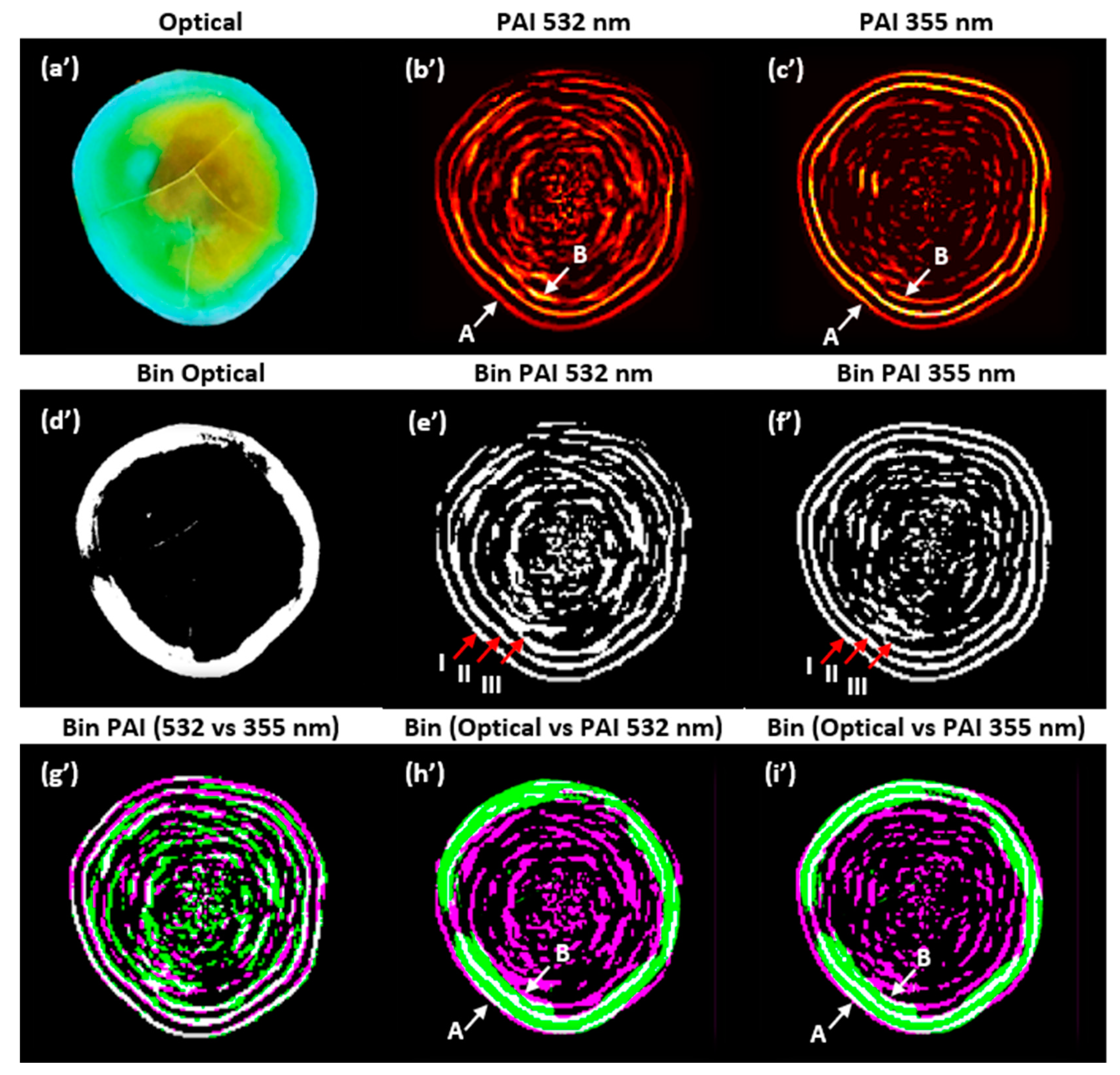 Photonics 11 00678 g007
