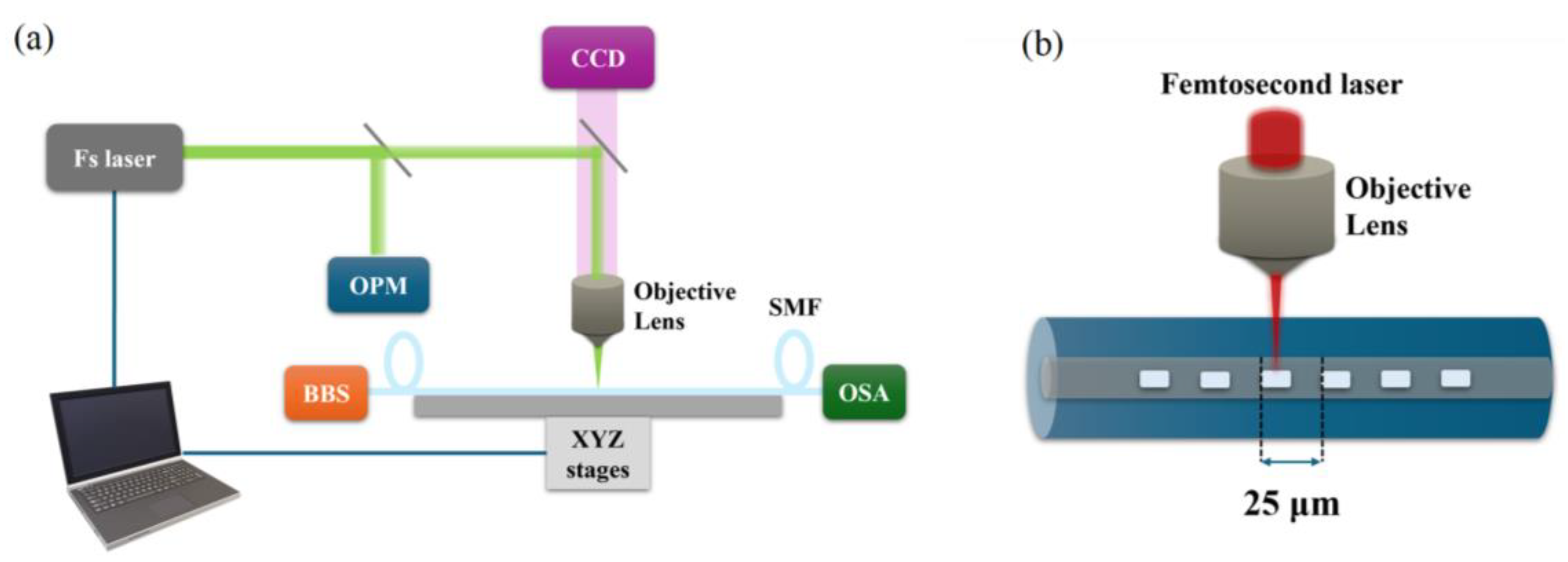 Photonics 11 00693 g001