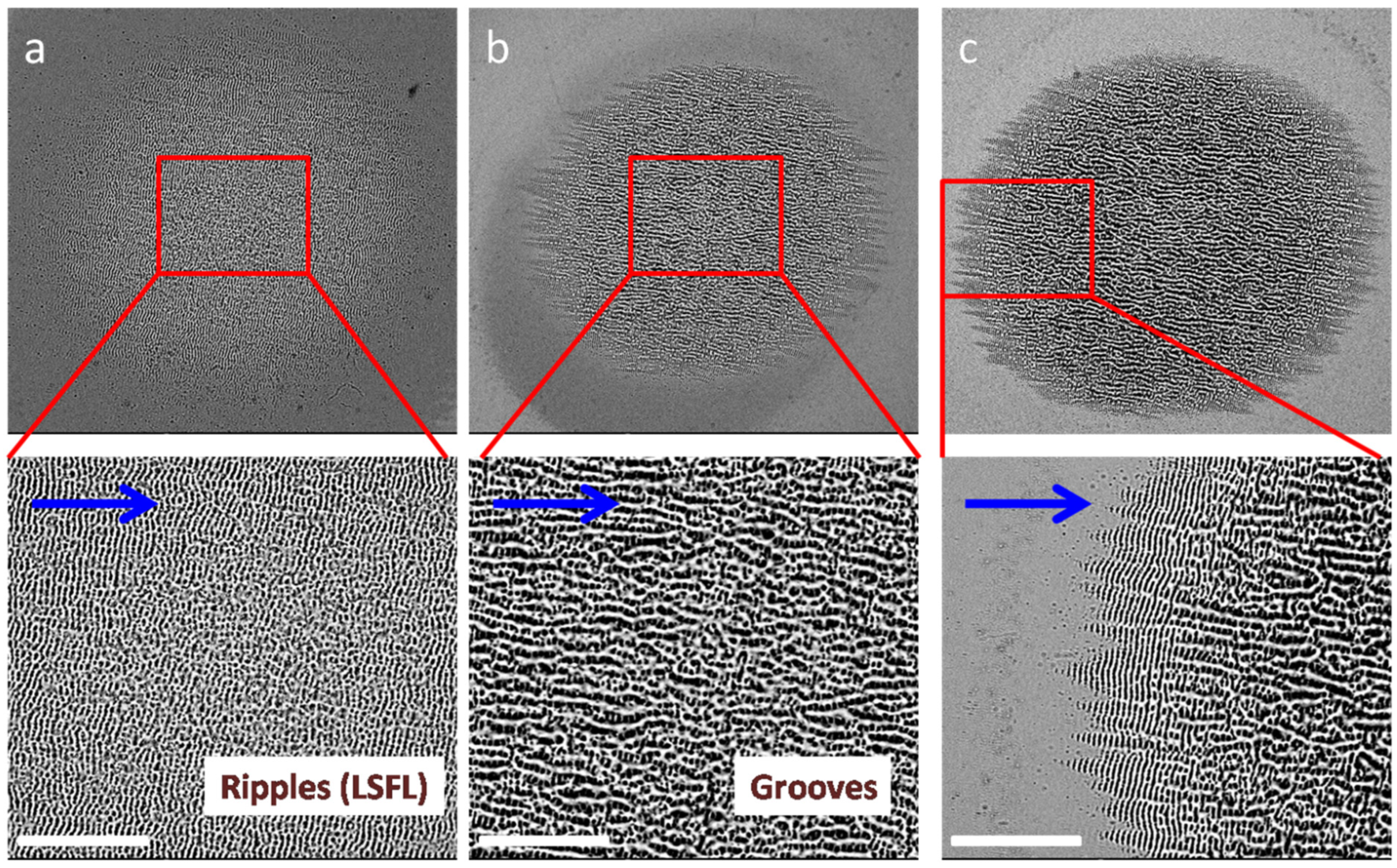 Photonics 11 00710 g002
