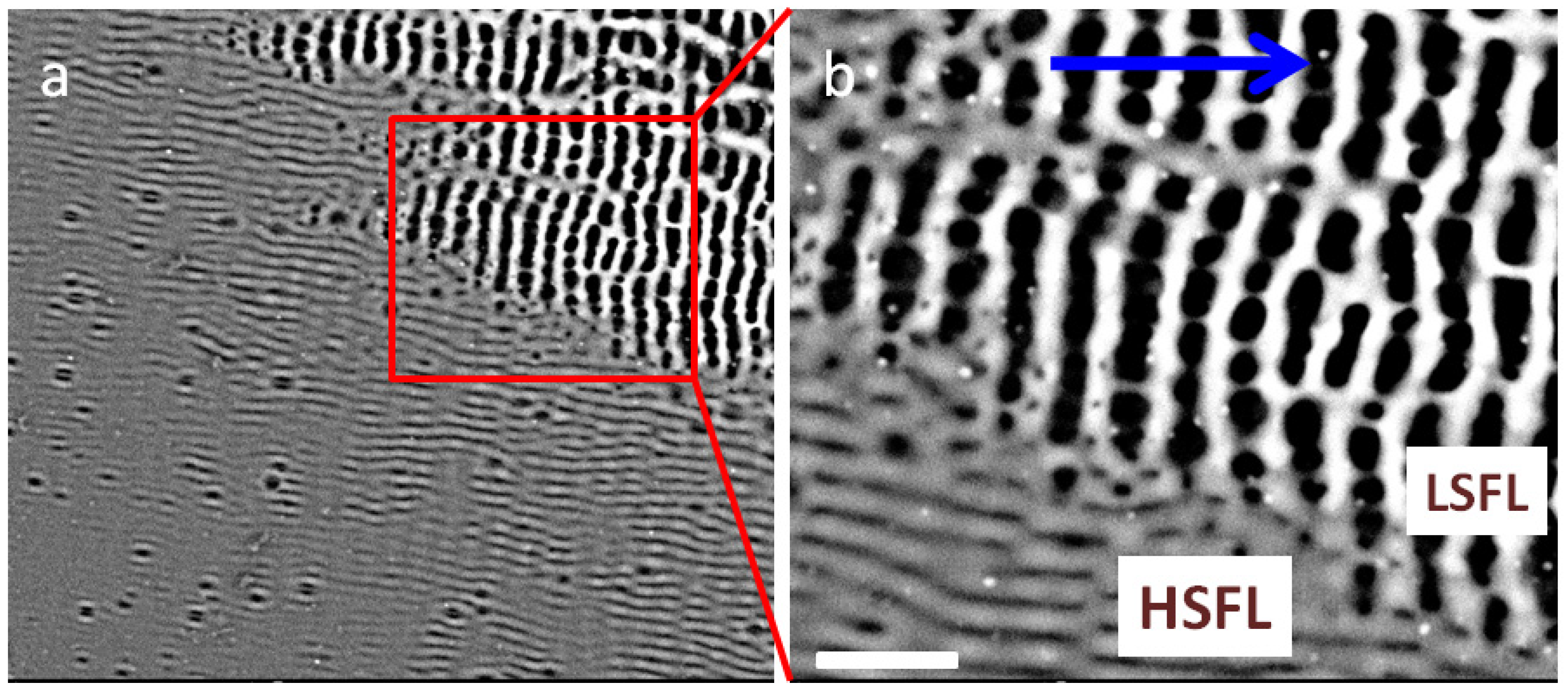Photonics 11 00710 g003