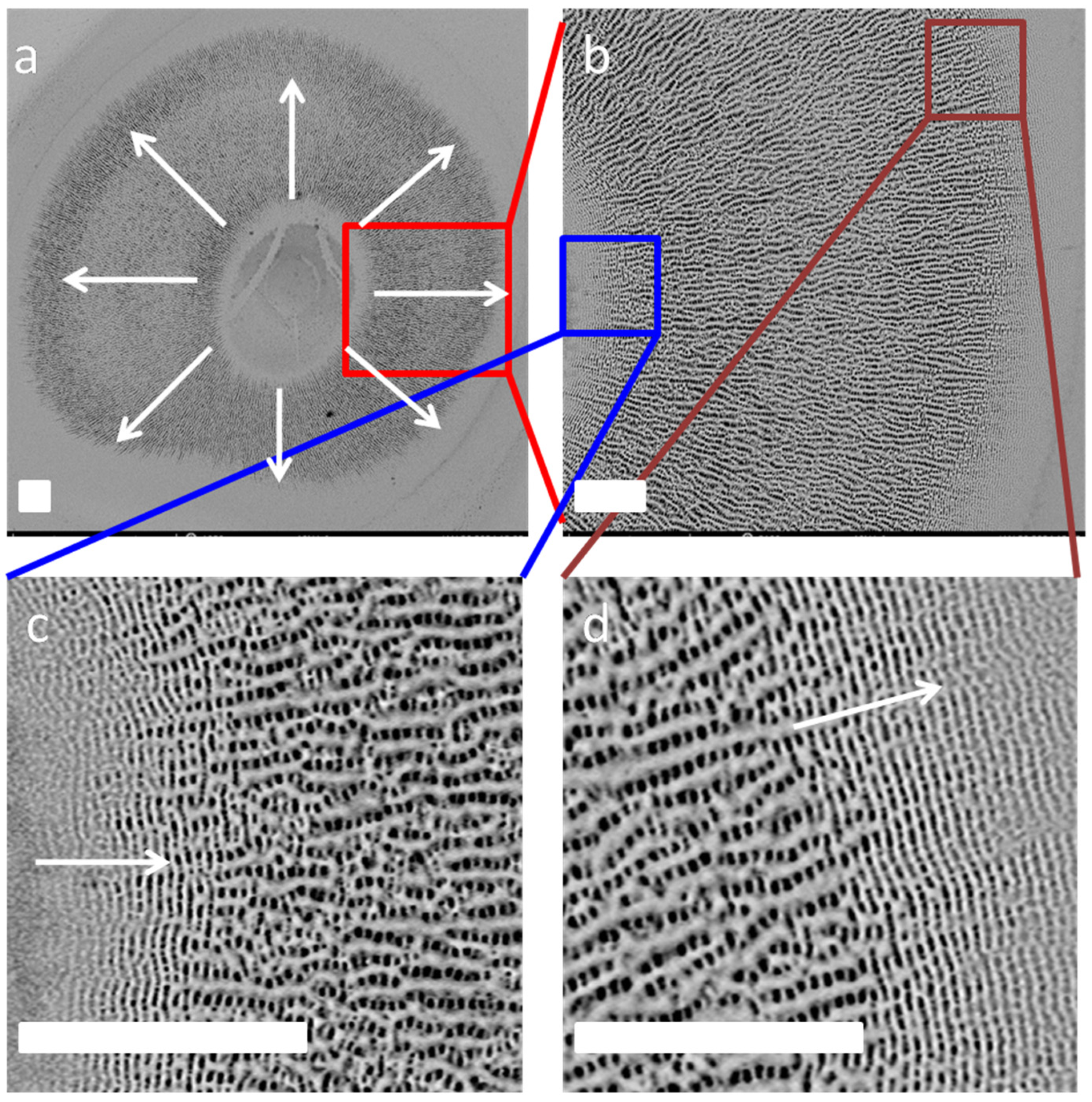 Photonics 11 00710 g004