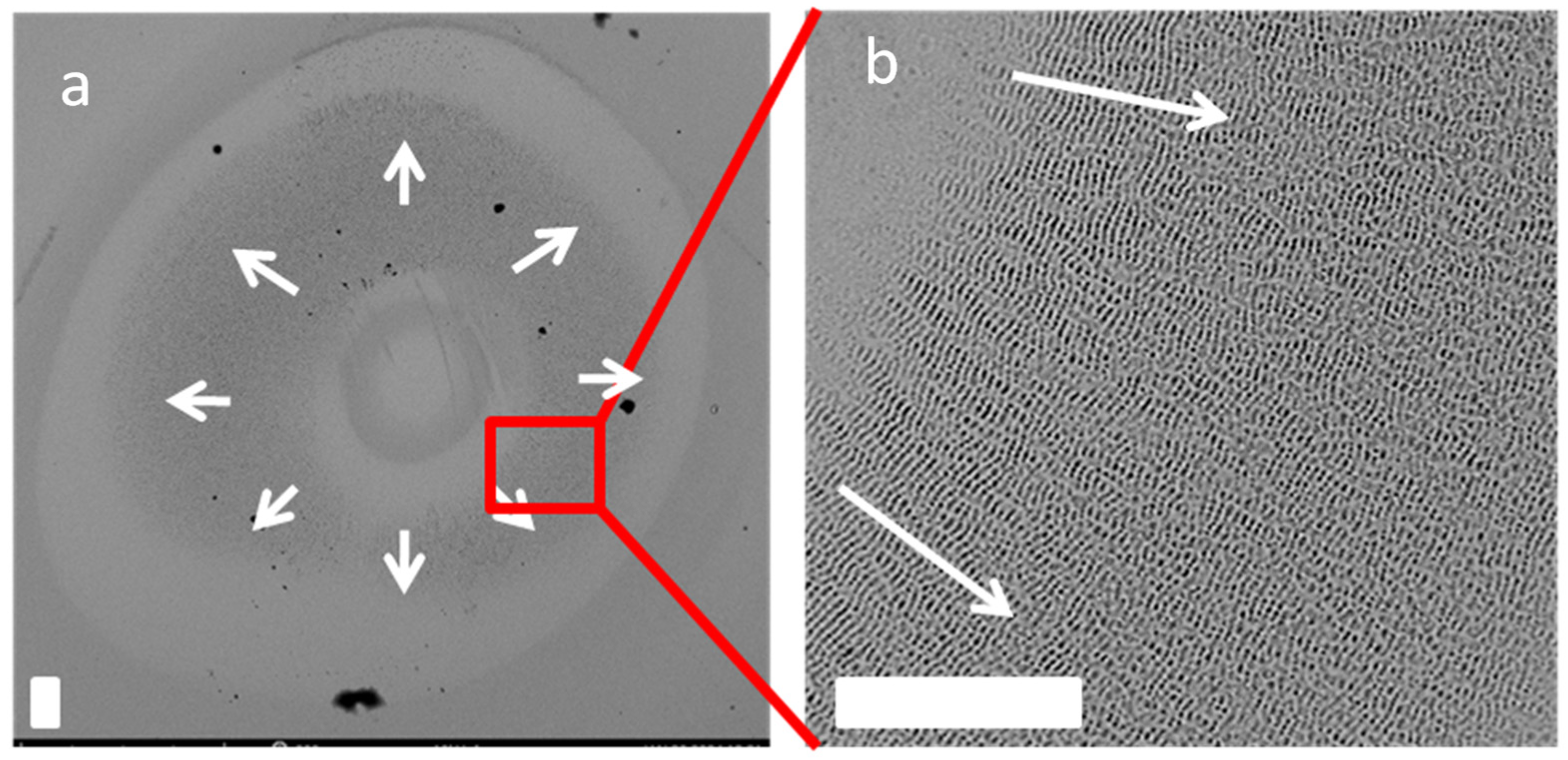 Photonics 11 00710 g005