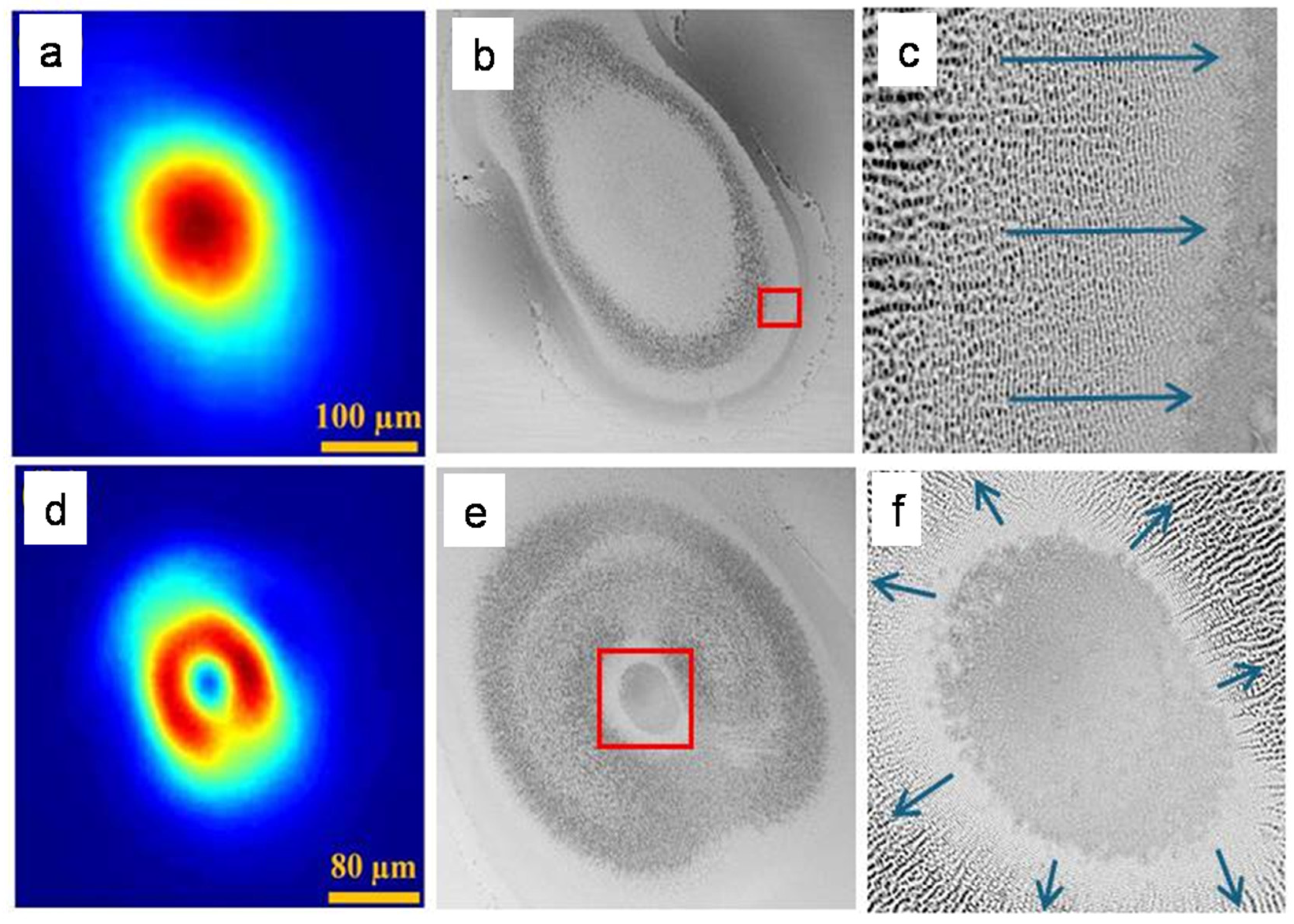 Photonics 11 00710 g007