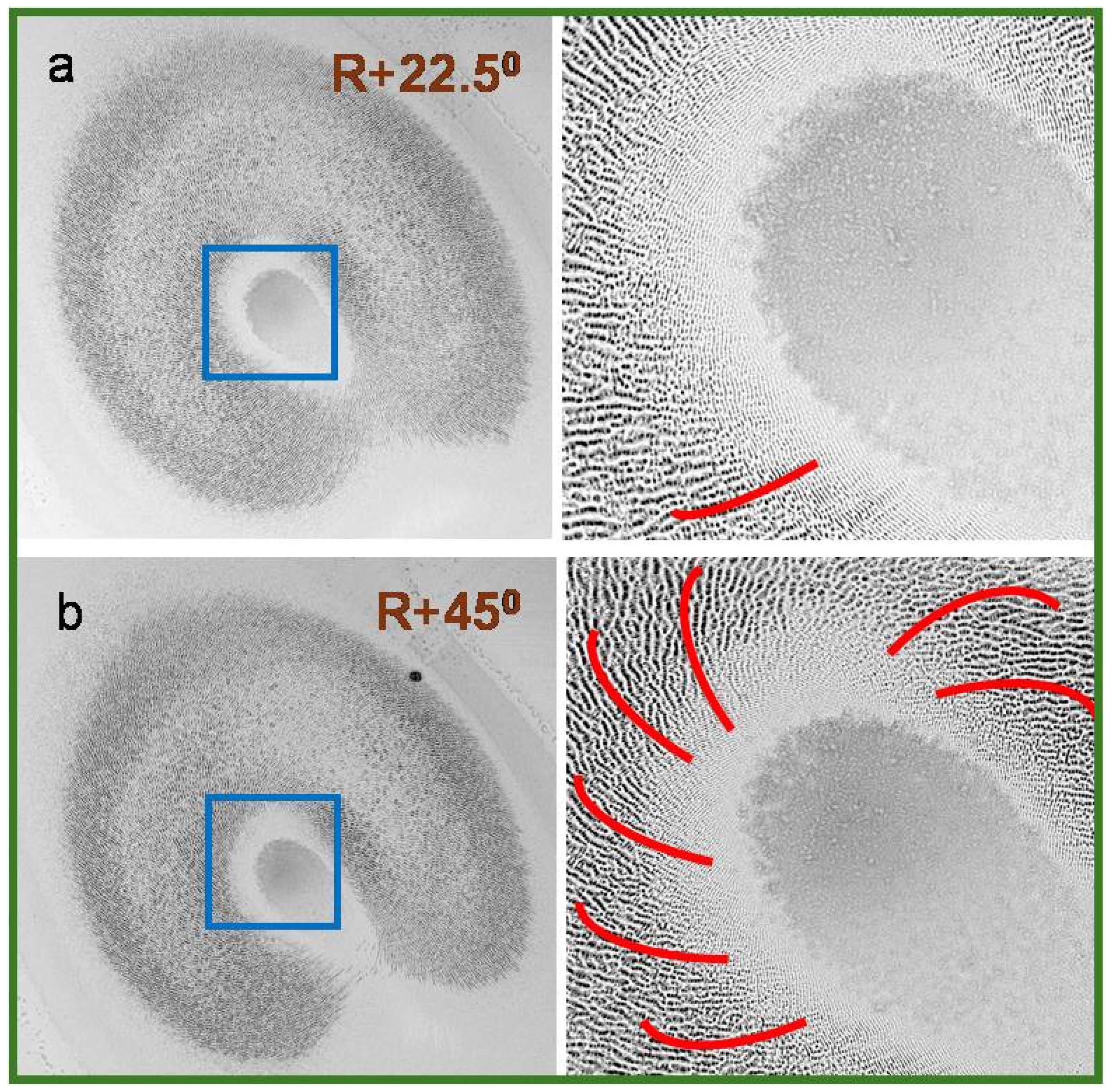 Photonics 11 00710 g008