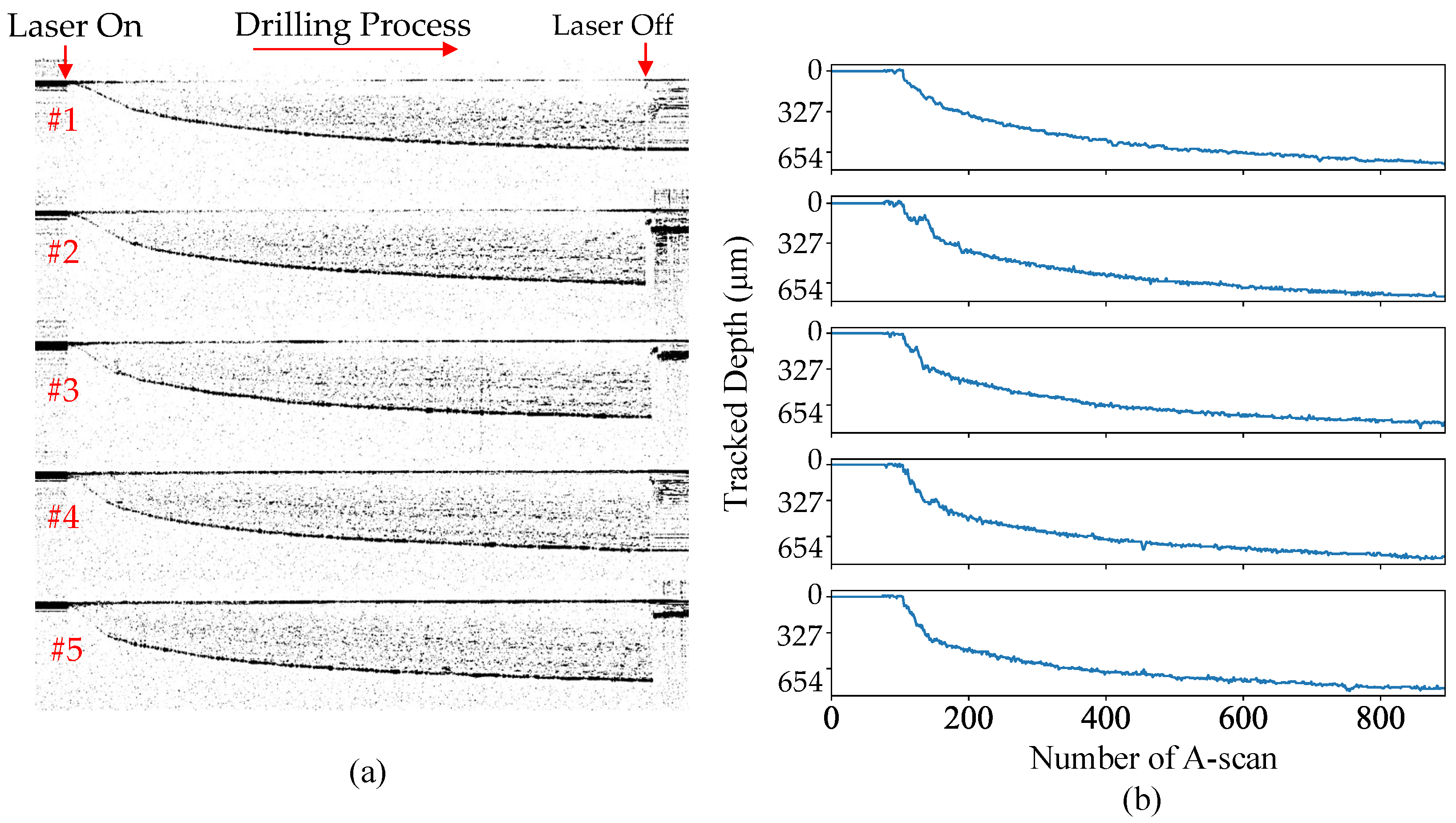 Photonics 11 00743 g010