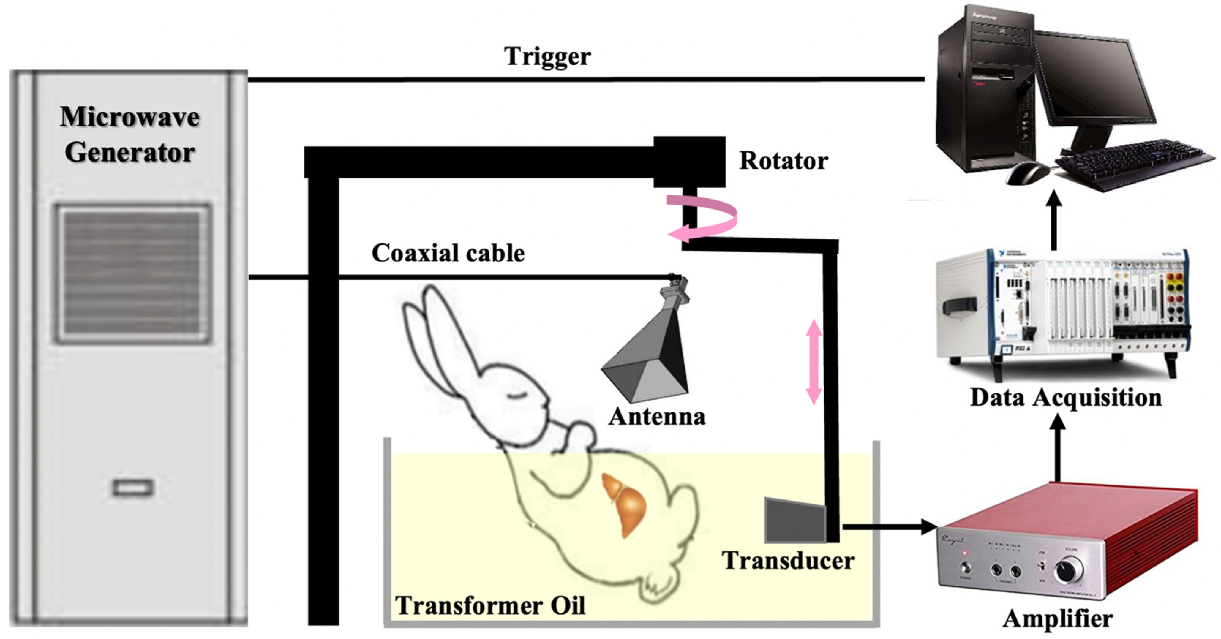 Photonics 11 00807 g001