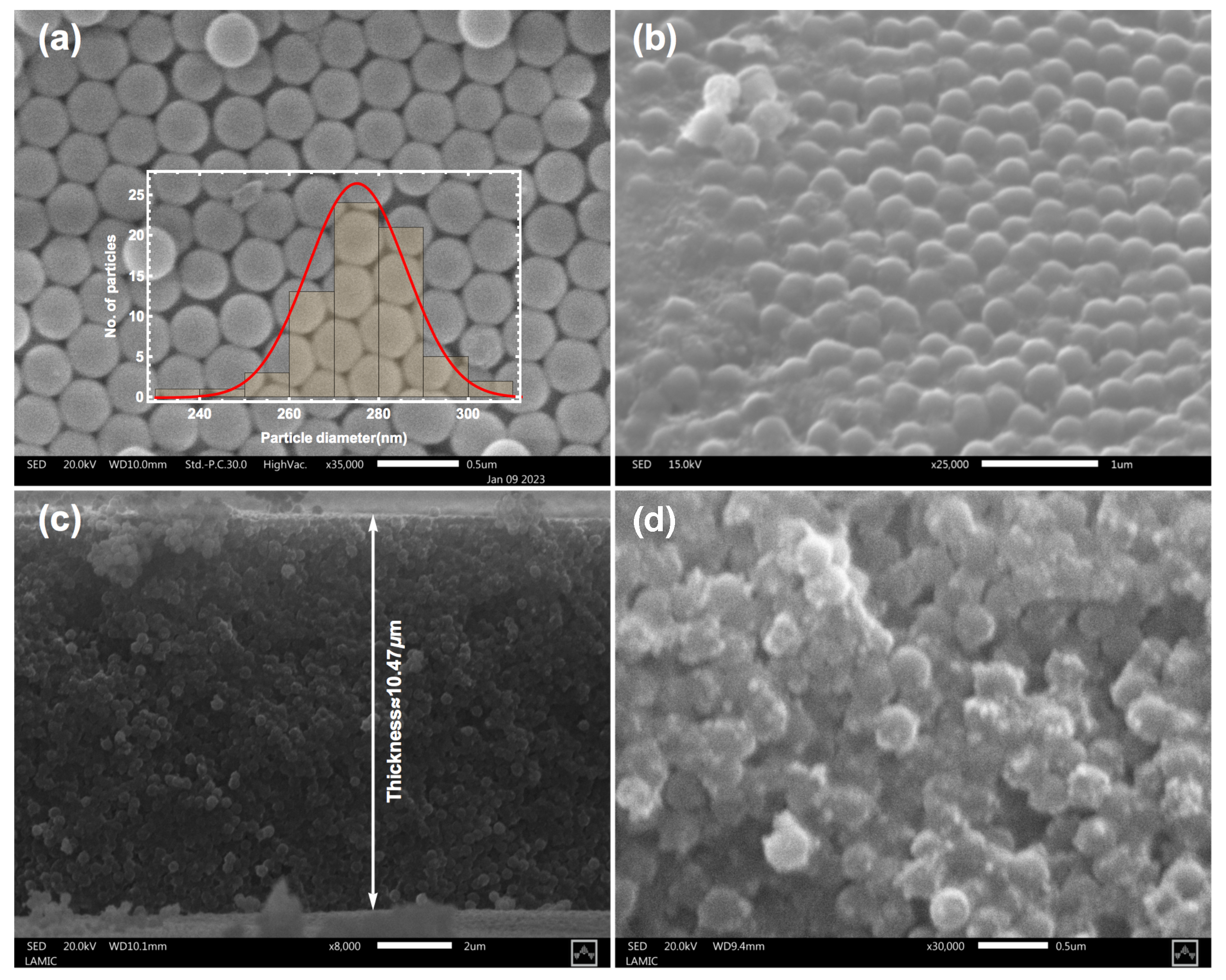 Photonics 11 00827 g002