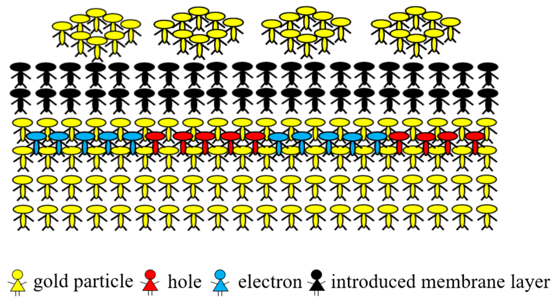Photonics 11 00836 g010