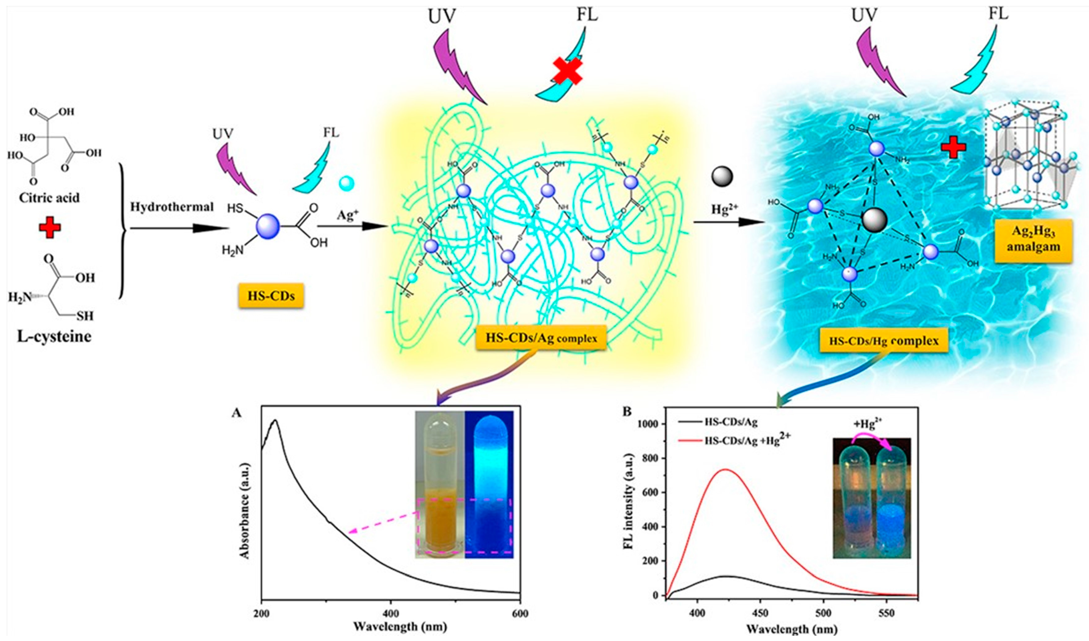 Photonics 11 00841 g005