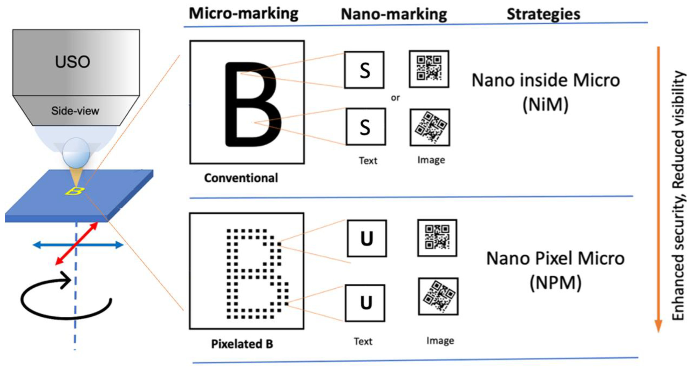 Photonics 11 00846 g003