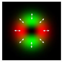 Photonics 11 00848 i021